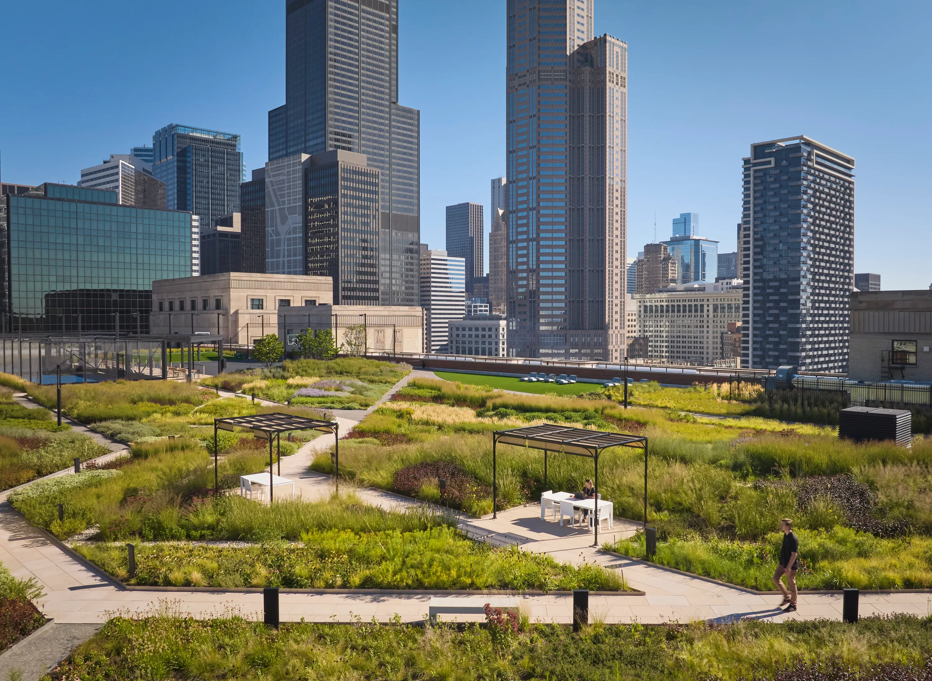 Meadow at Old Chicago Post Office Dave Burk