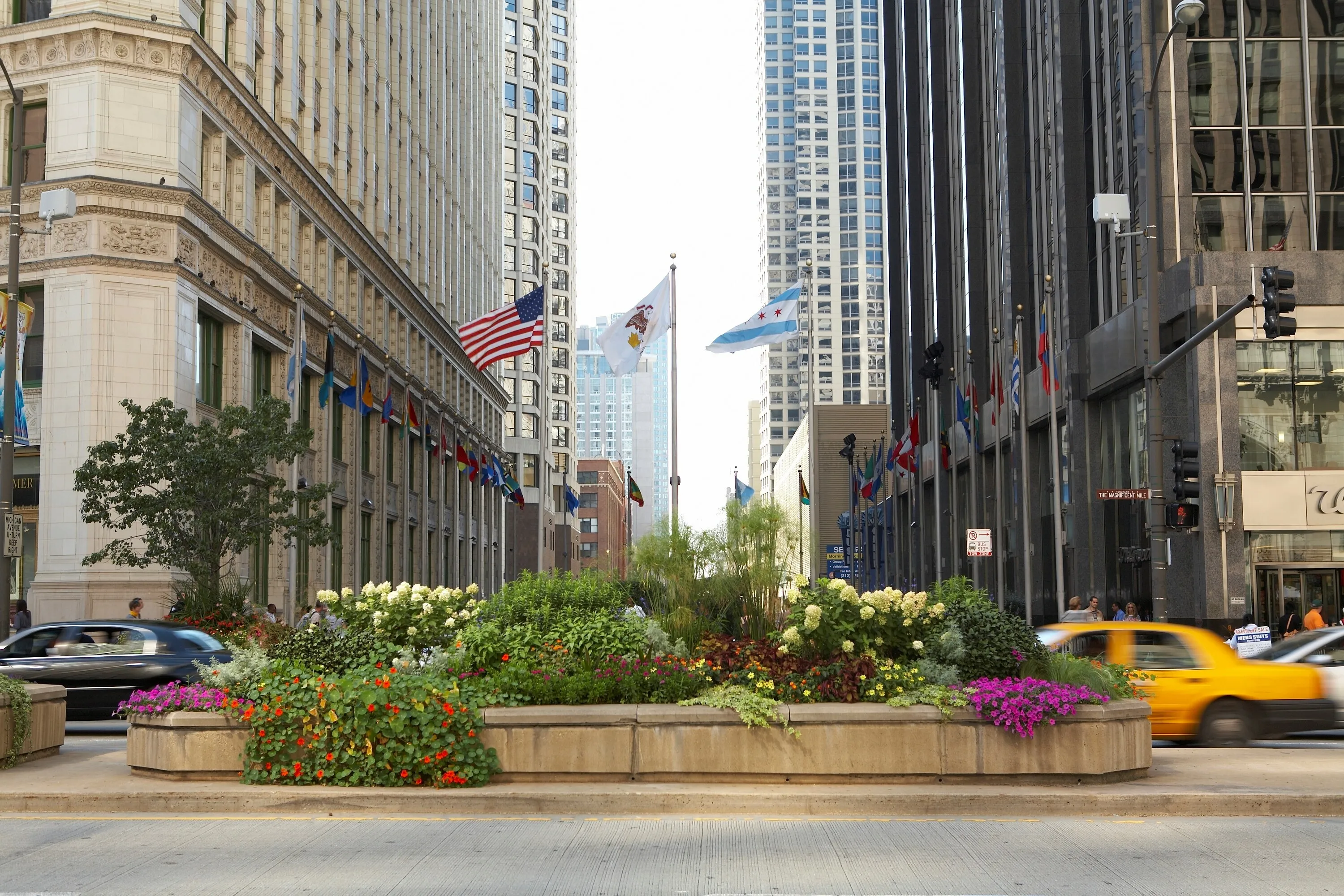 Michigan Avenue streetscape