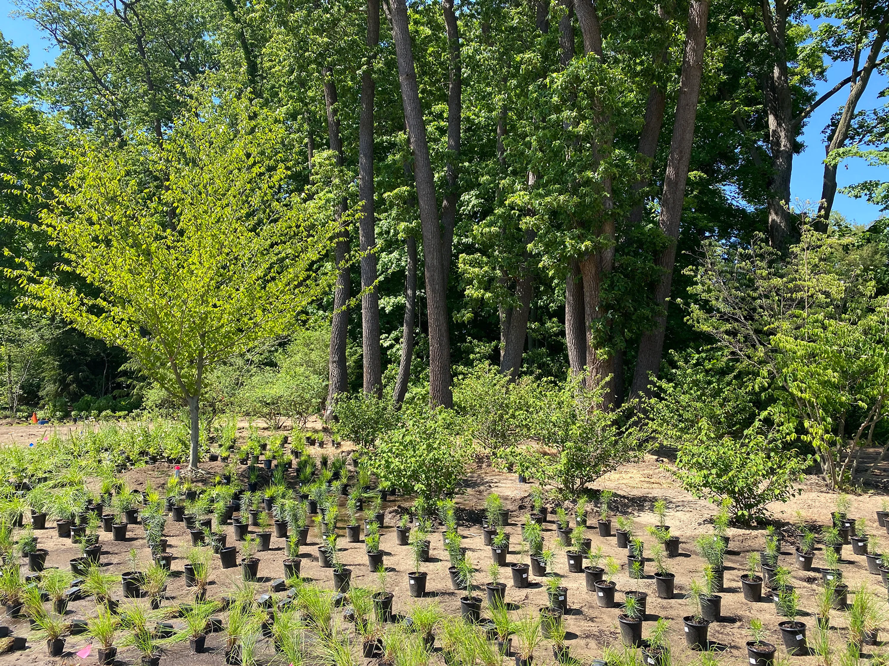 interns_plant layout