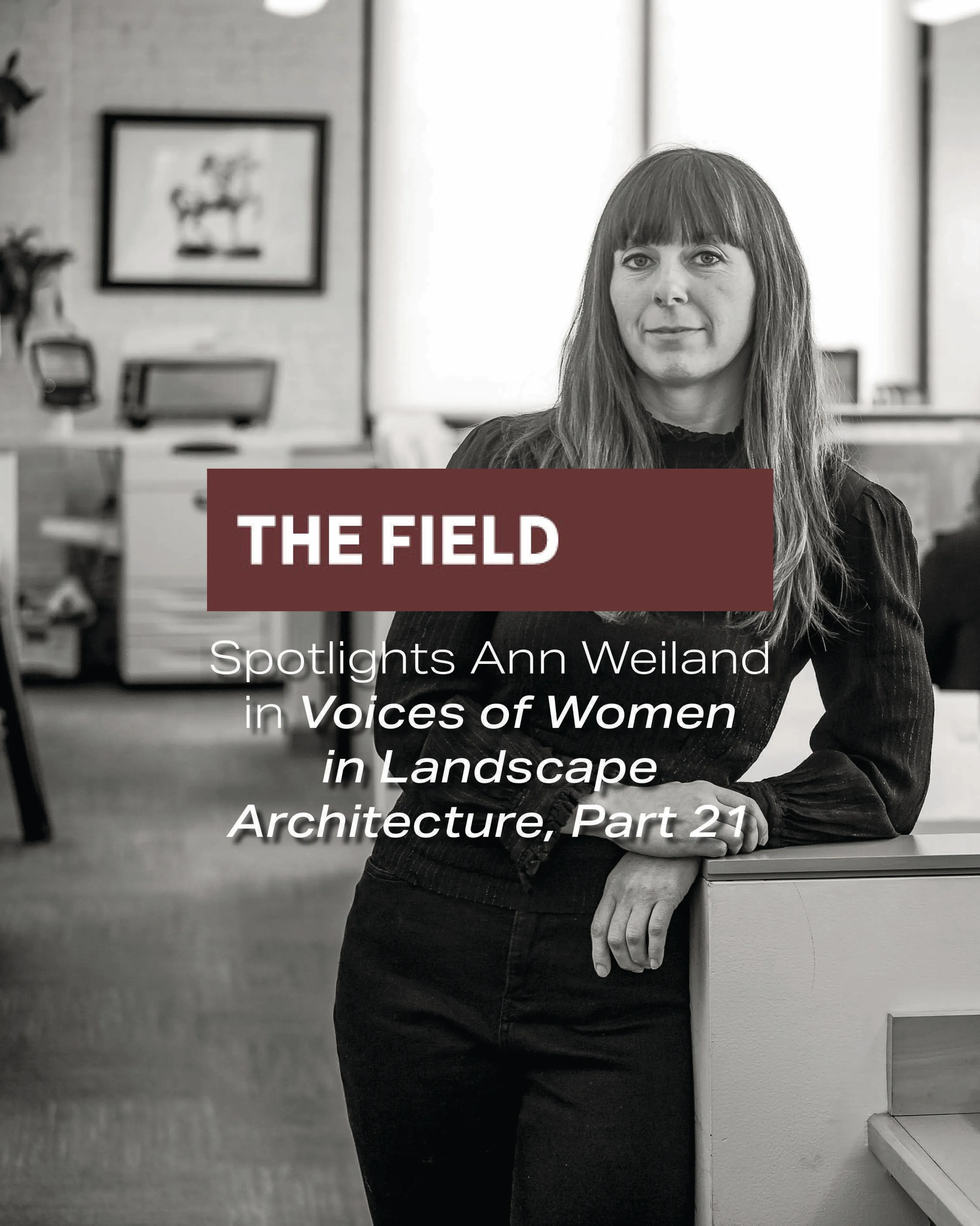 Ann the field