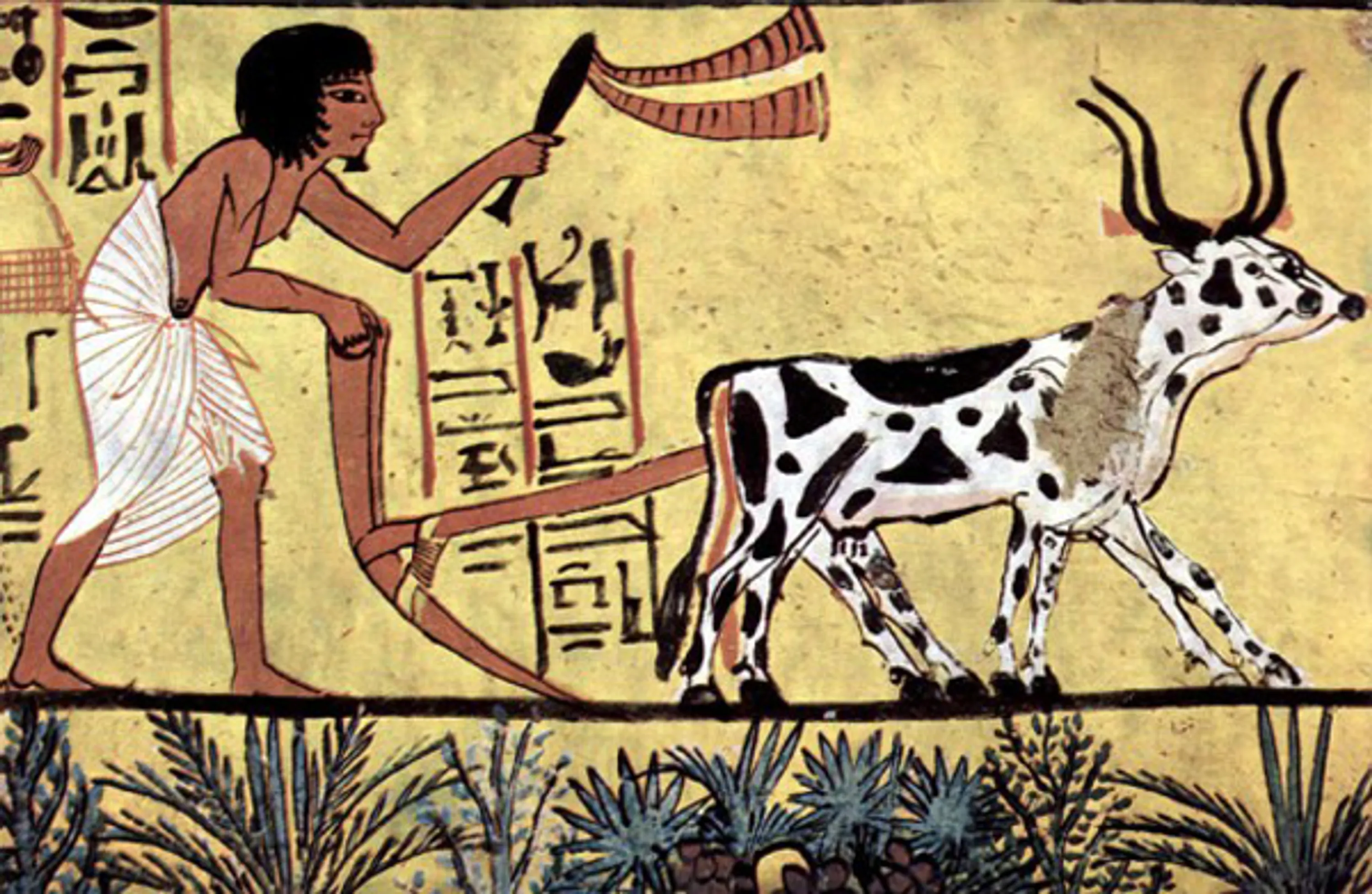 1 hero image urban agriculture ancient blog hoerrschaudt