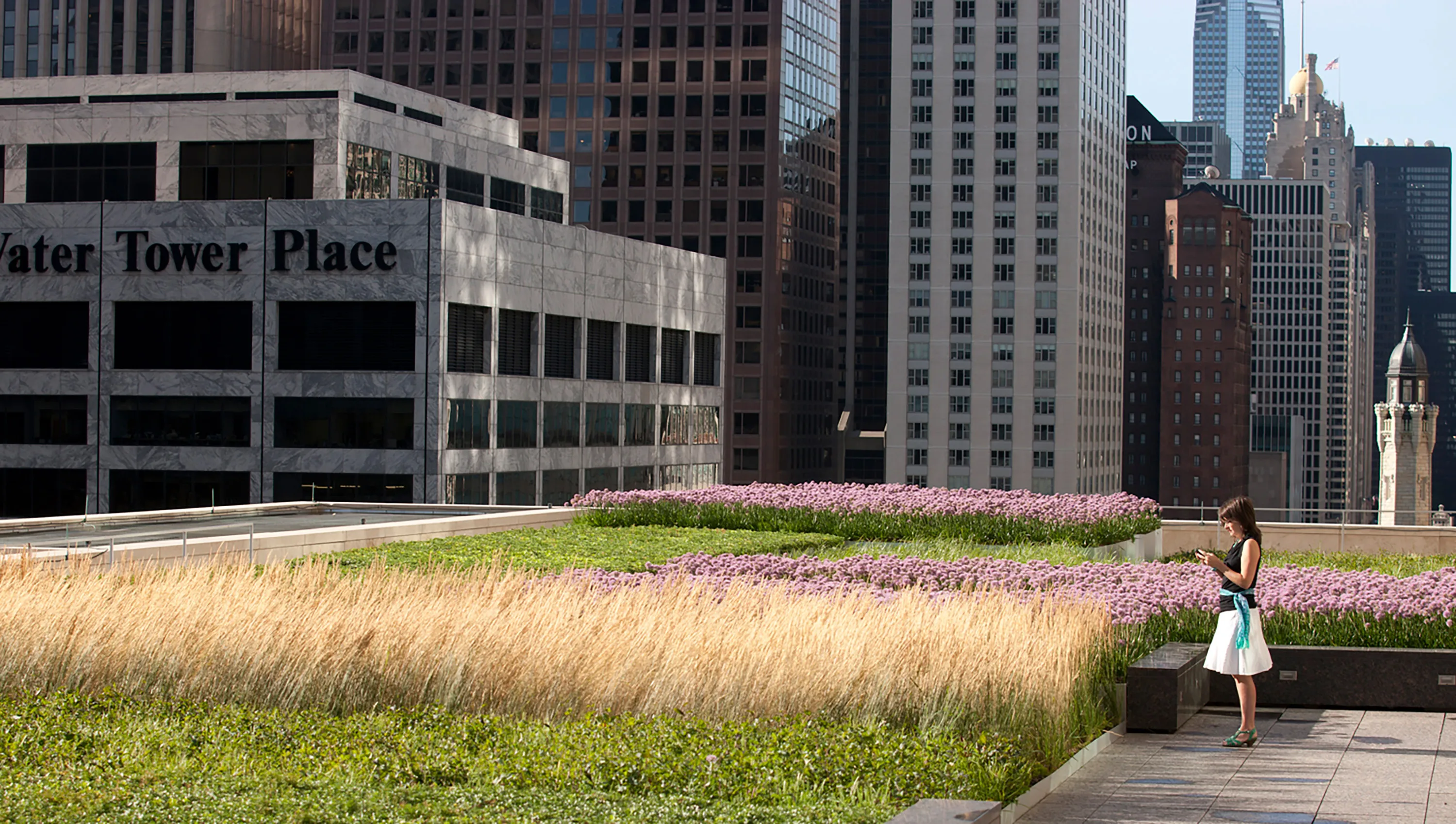 10 tall grass woman city 900 nmichiganave rooftop hoerrschaudt