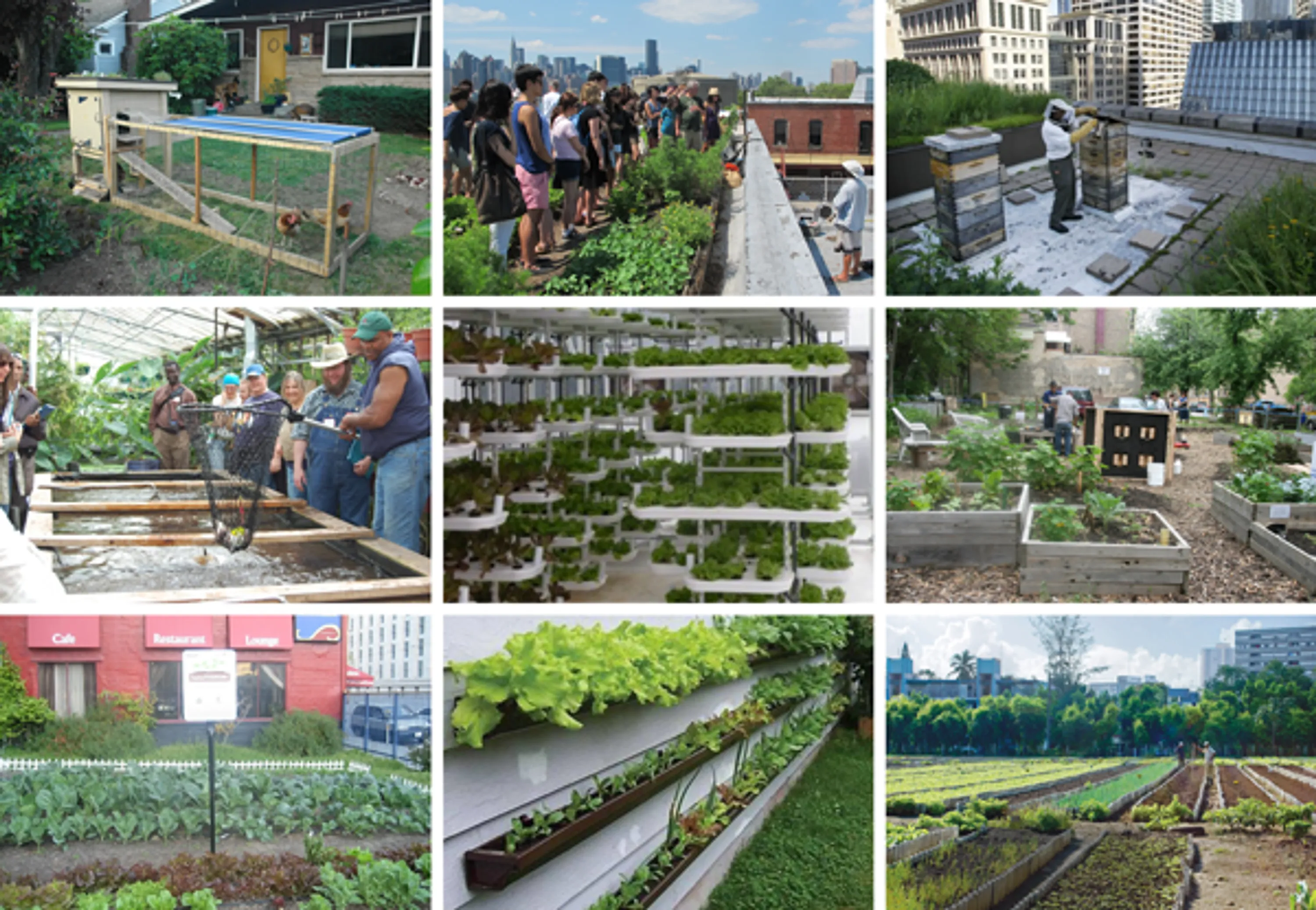 1 grid farms urban agriculture blog hoerrschaudt