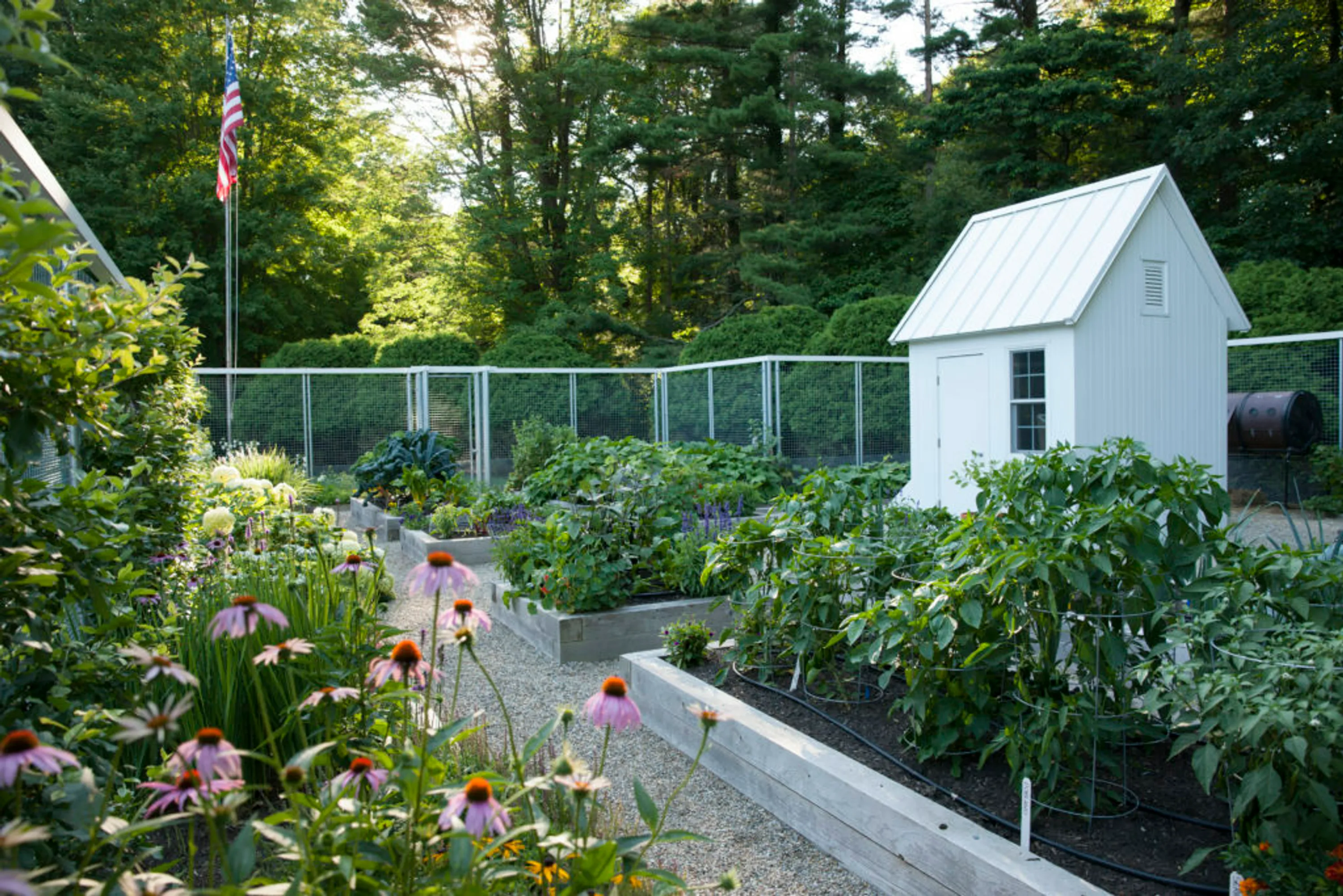 1 organic farm white shed