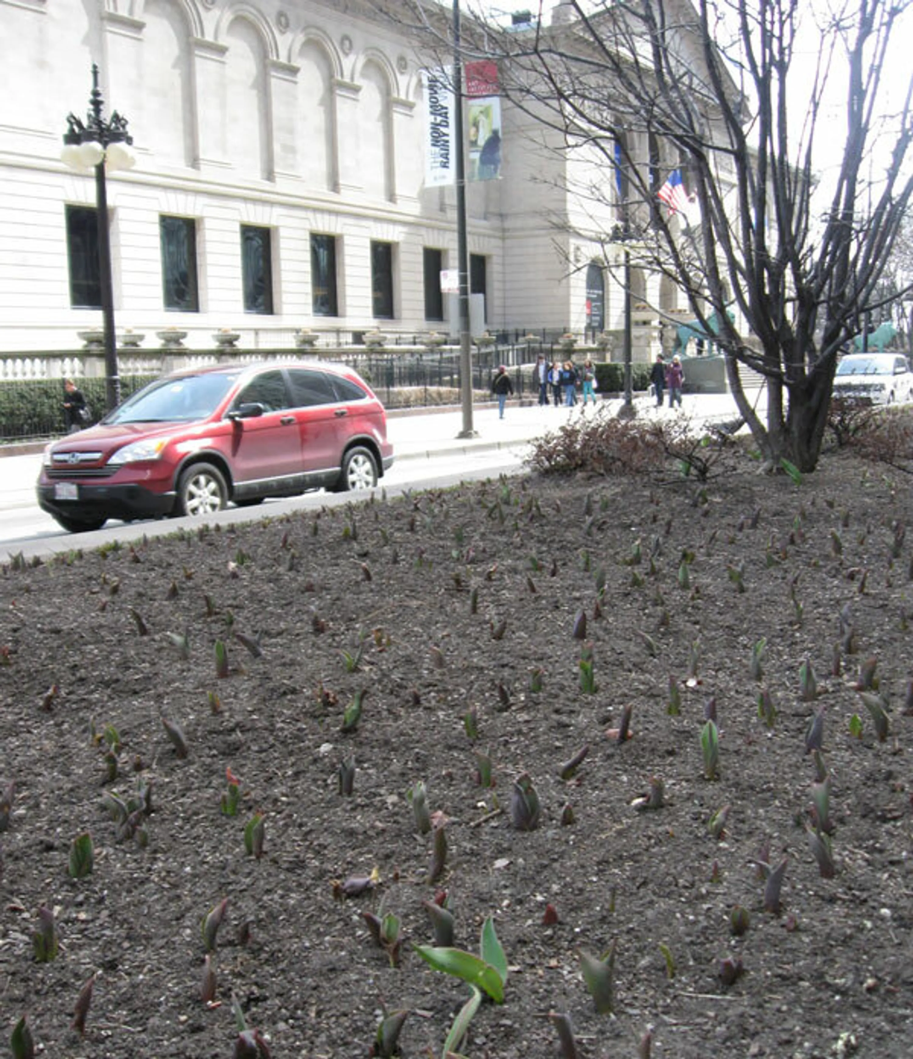 1 michigan avenue buds spring like no other blog hoerrschaudt