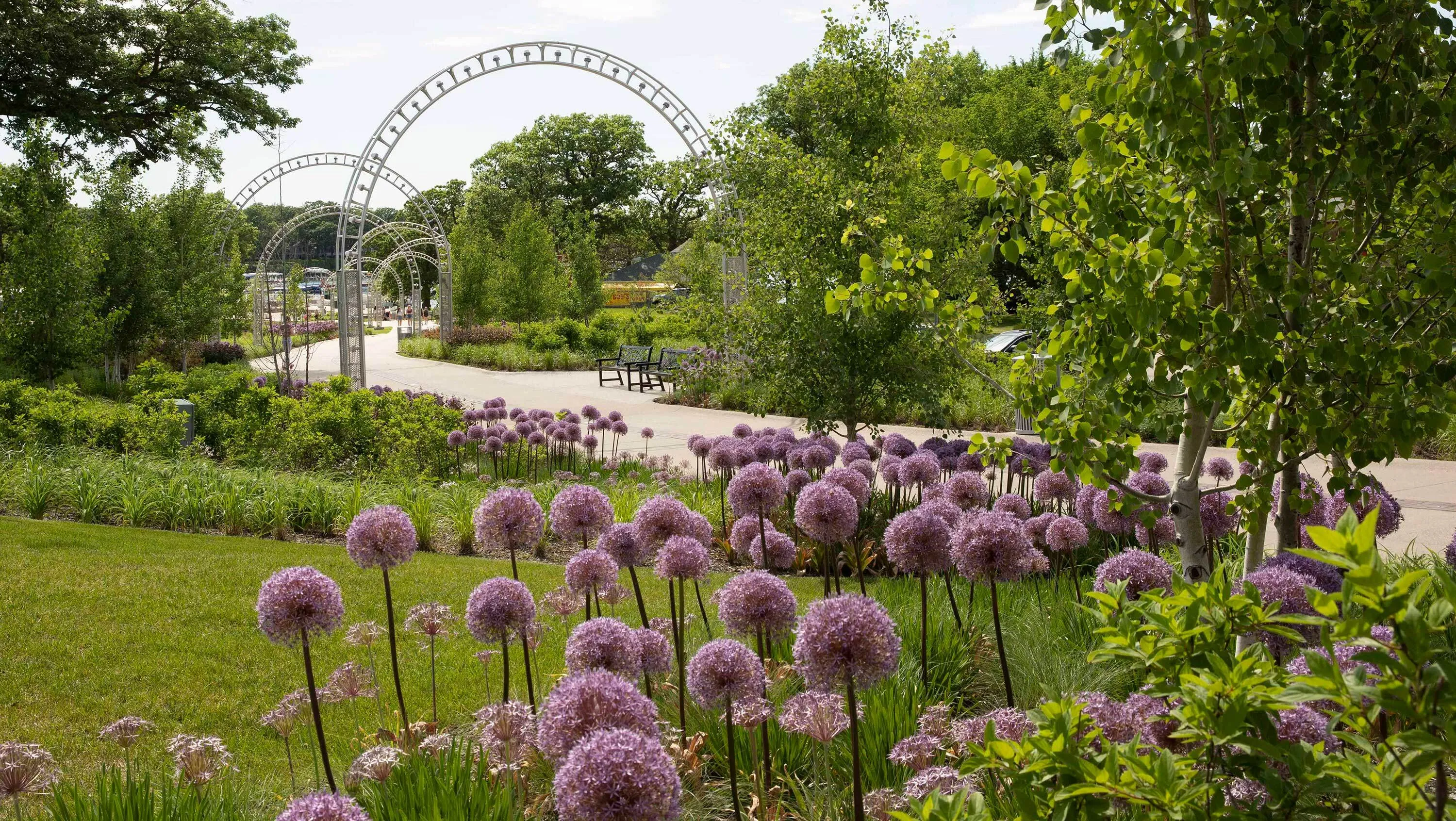 1 purple flowers archways okiboji waterfont park hoerrschaudt