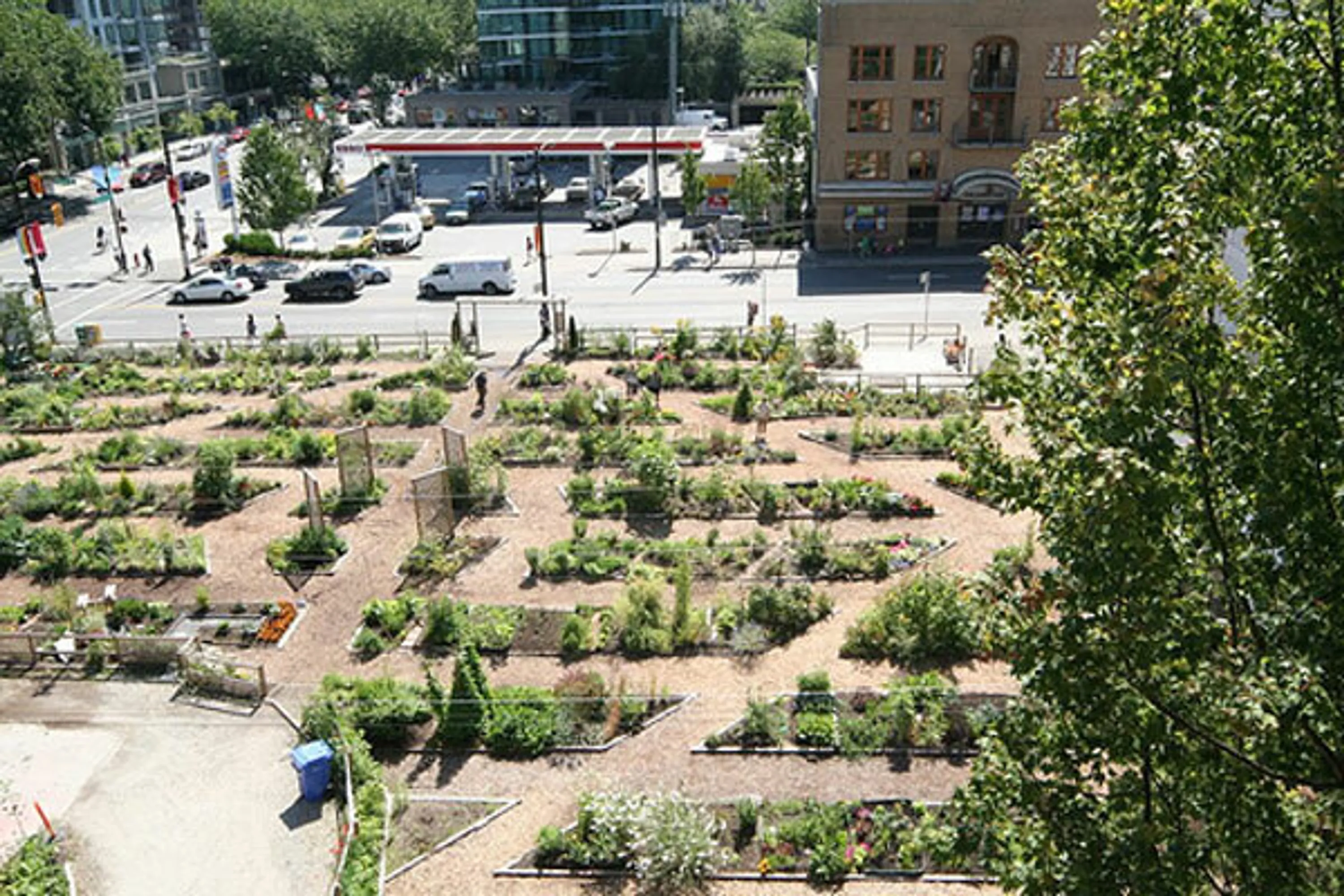 2 aerial garden in progress the many flavors blog ideas hoerrschaudt