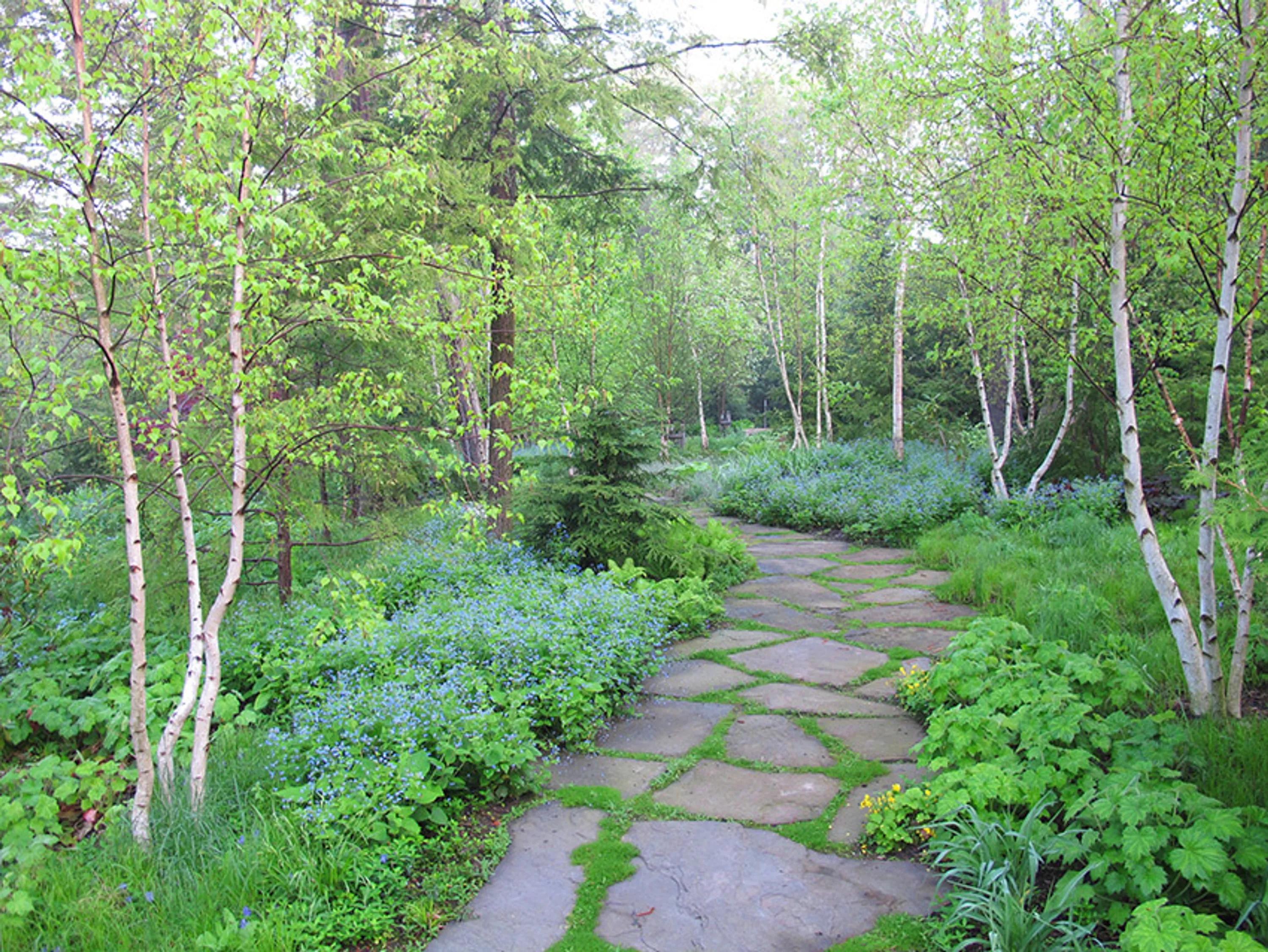 2 stone path top residential landscape blog hoerrschaudt