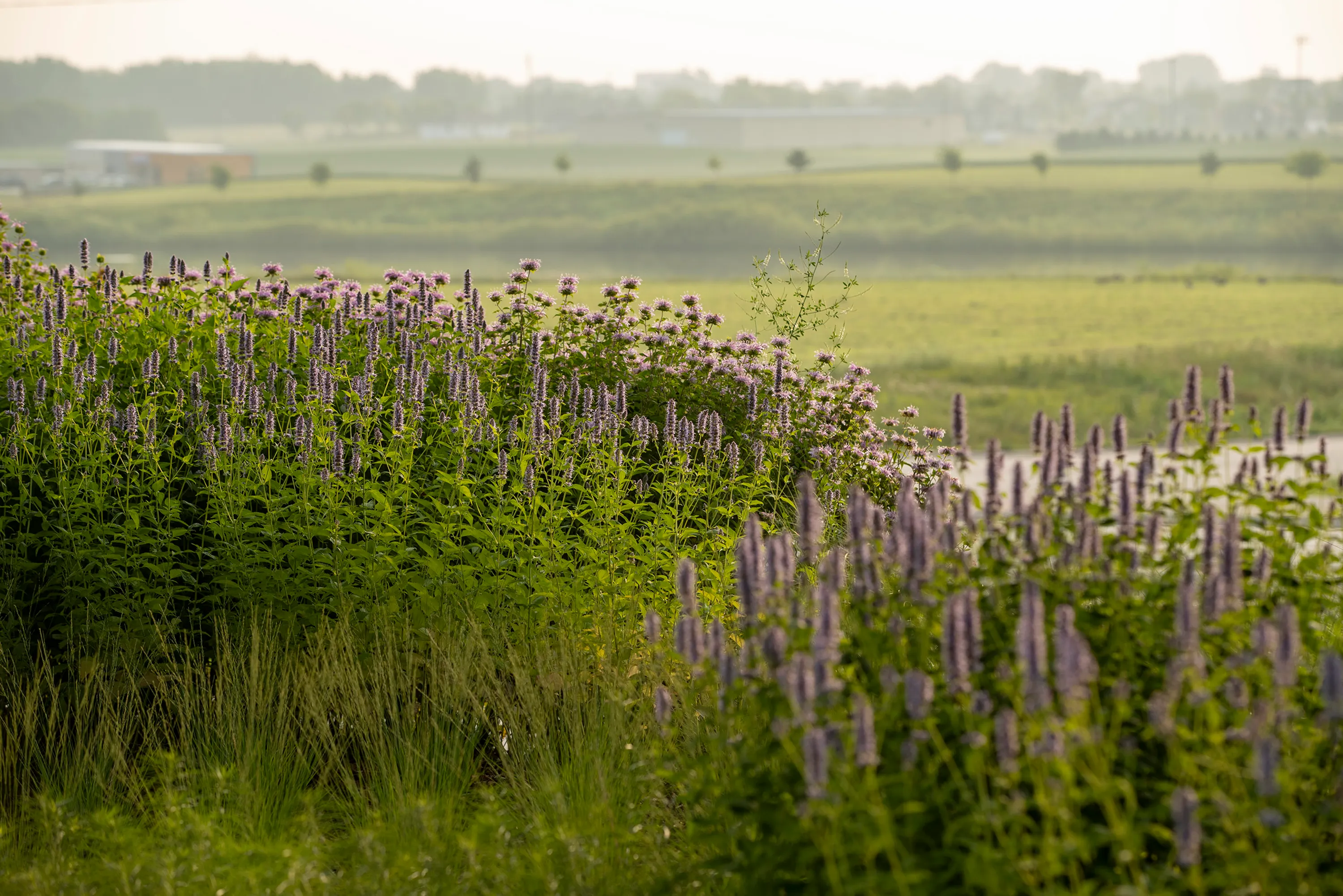 20210717 hsla okoboji nature area 186