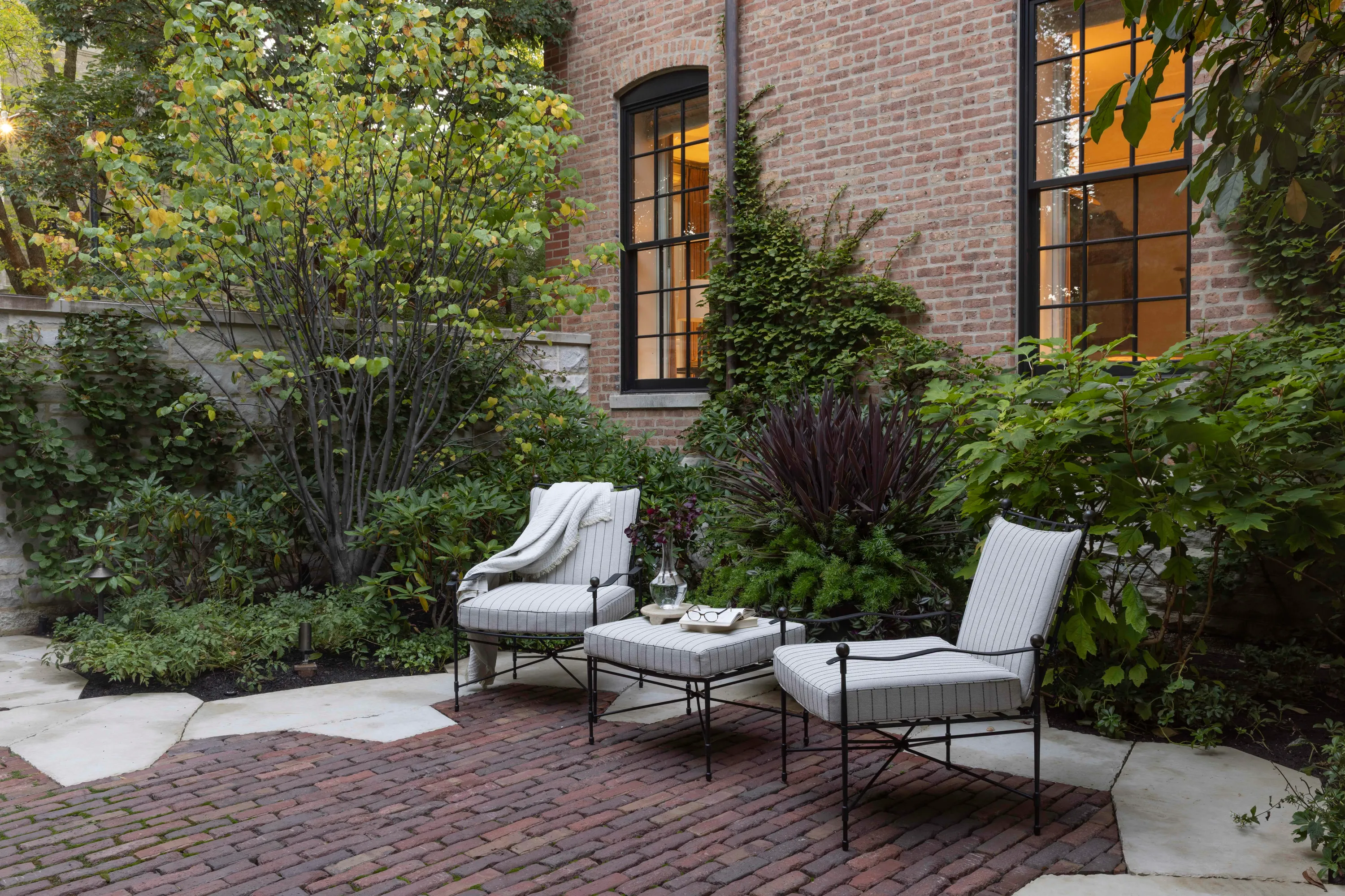 20250929 HS Cotton 0101