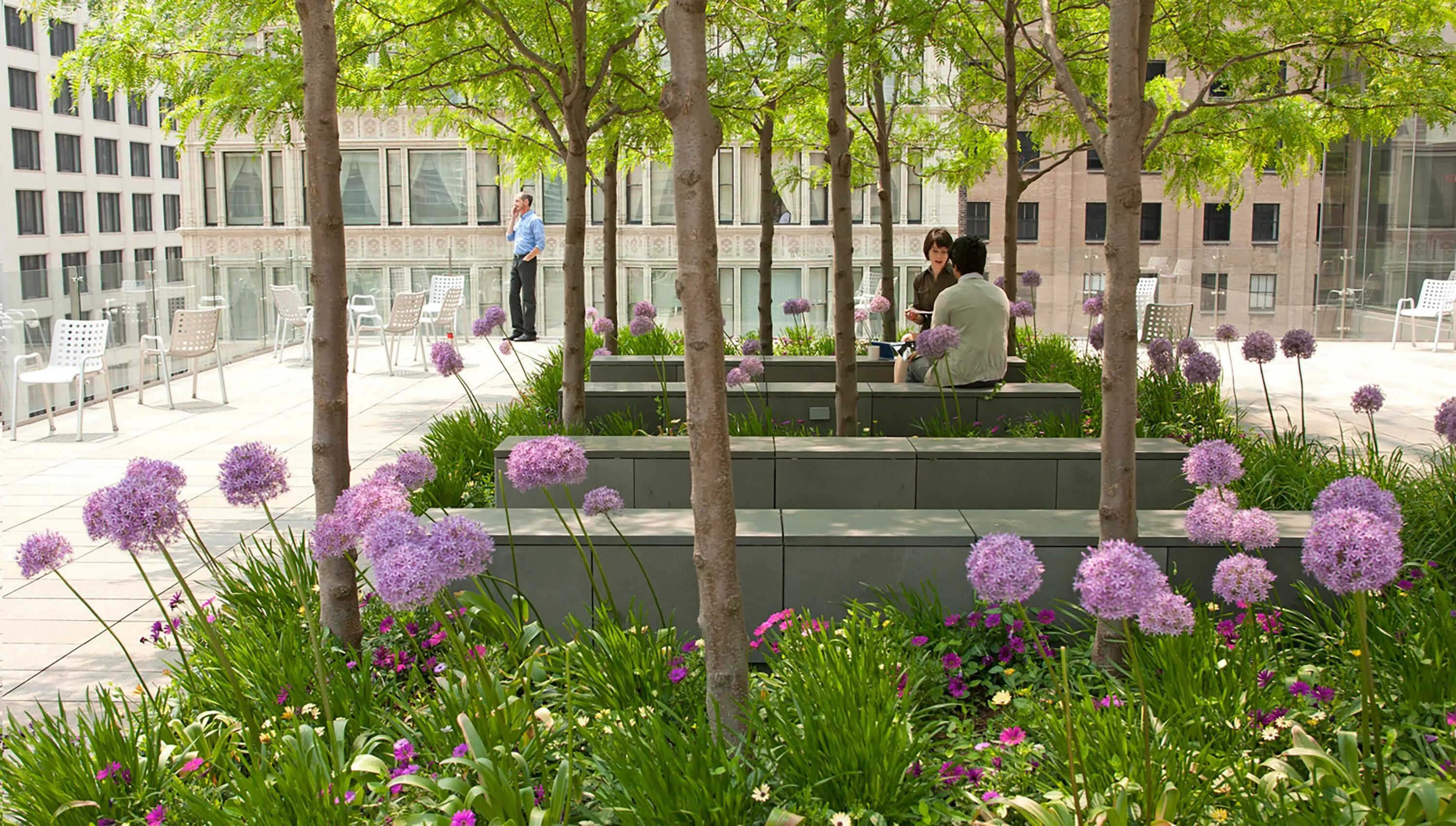 2 trees seating people purpleflower morningstarinc hoerrschaudt