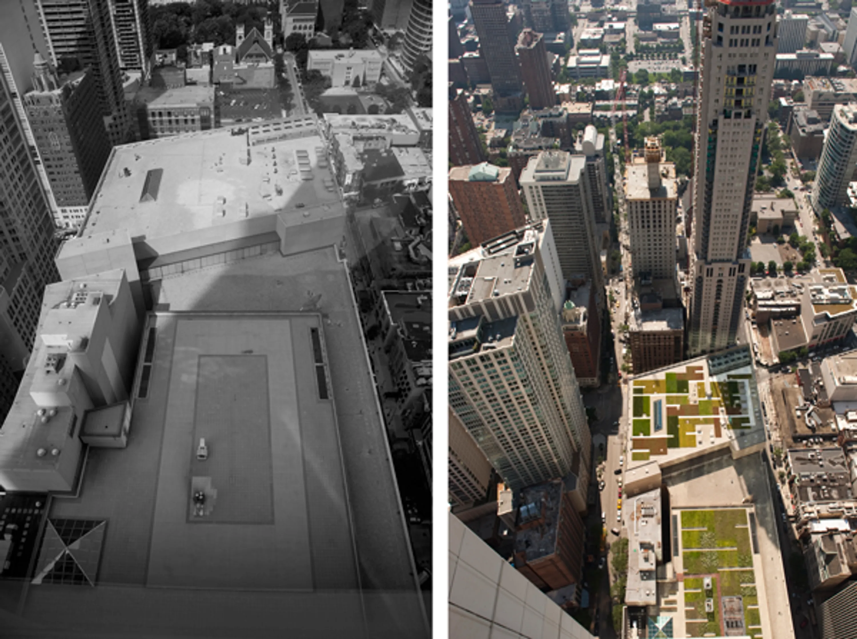 3 green roof ideas blog hoerrschaudt