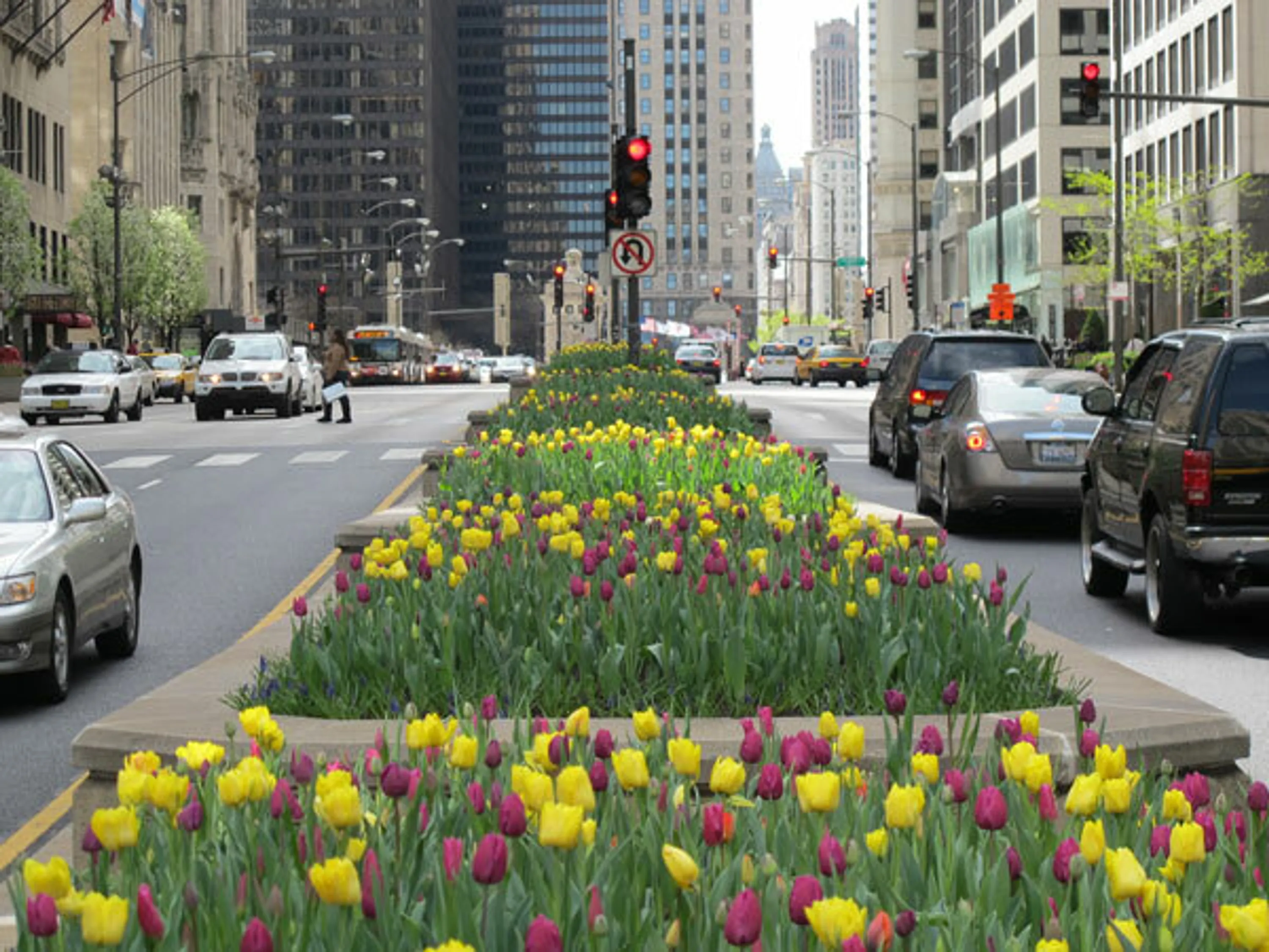 3 michigan avenue cars flowers spring like no other blog hoerrschaudt