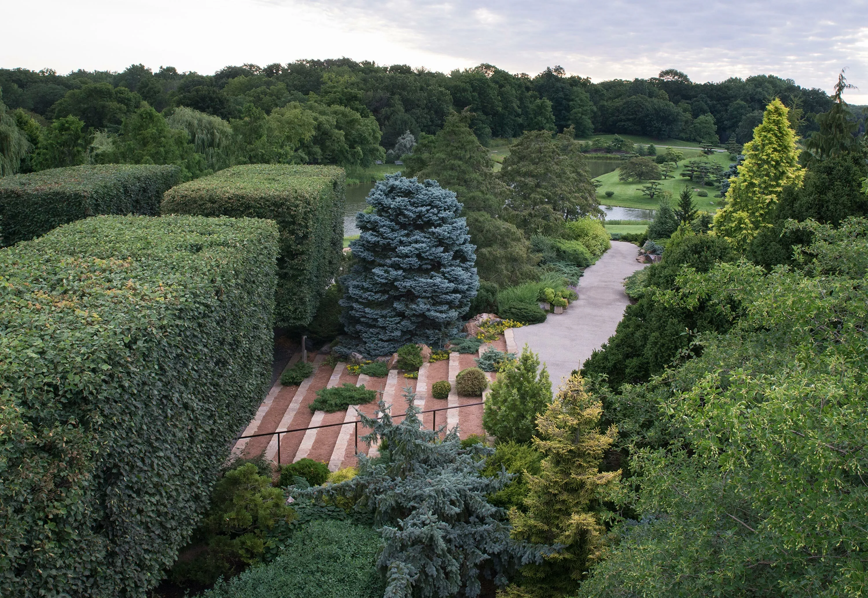 3 path stairs hedges cbg dwarf conifer garden hoerrschaudt