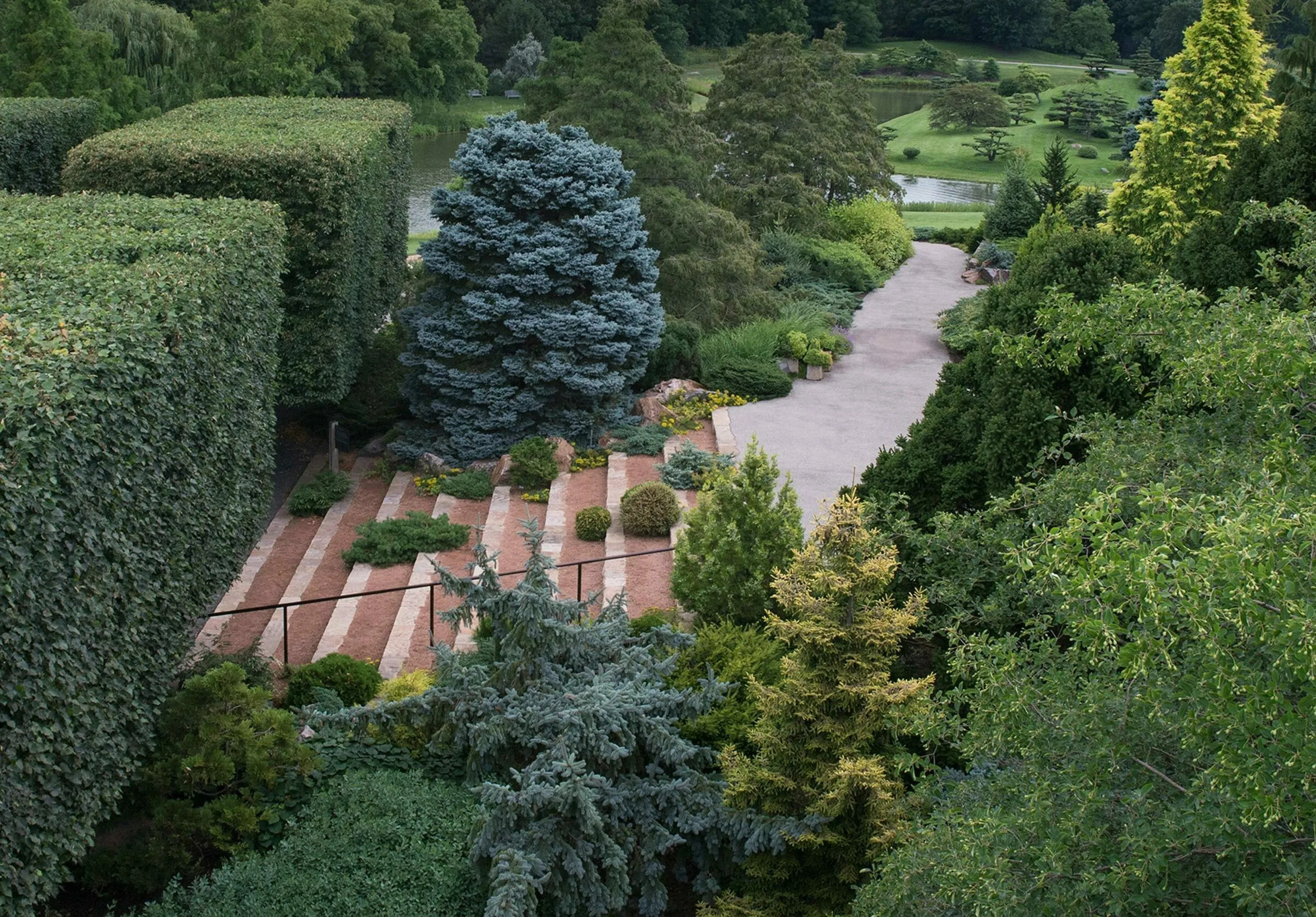 3 path stairs hedges cbg dwarf conifer garden hoerrschaudt