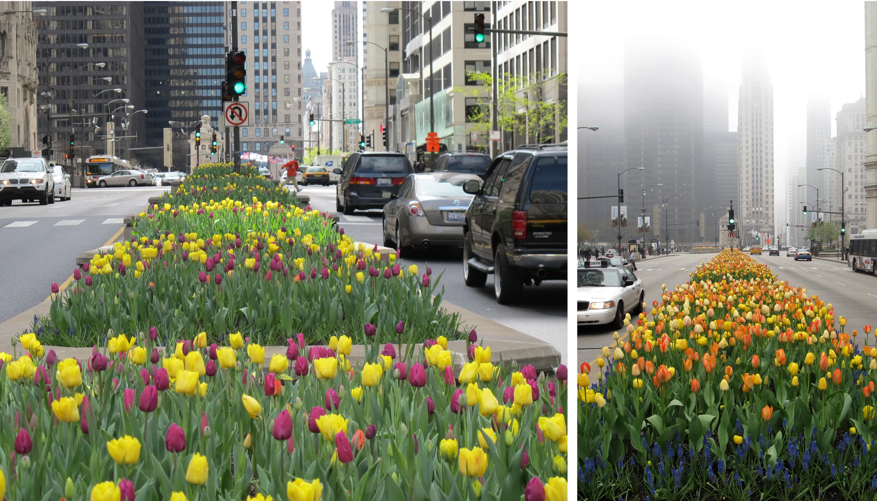 4 michigan avenue streetscape was prestigious asla landmark award hoerrschaudt news