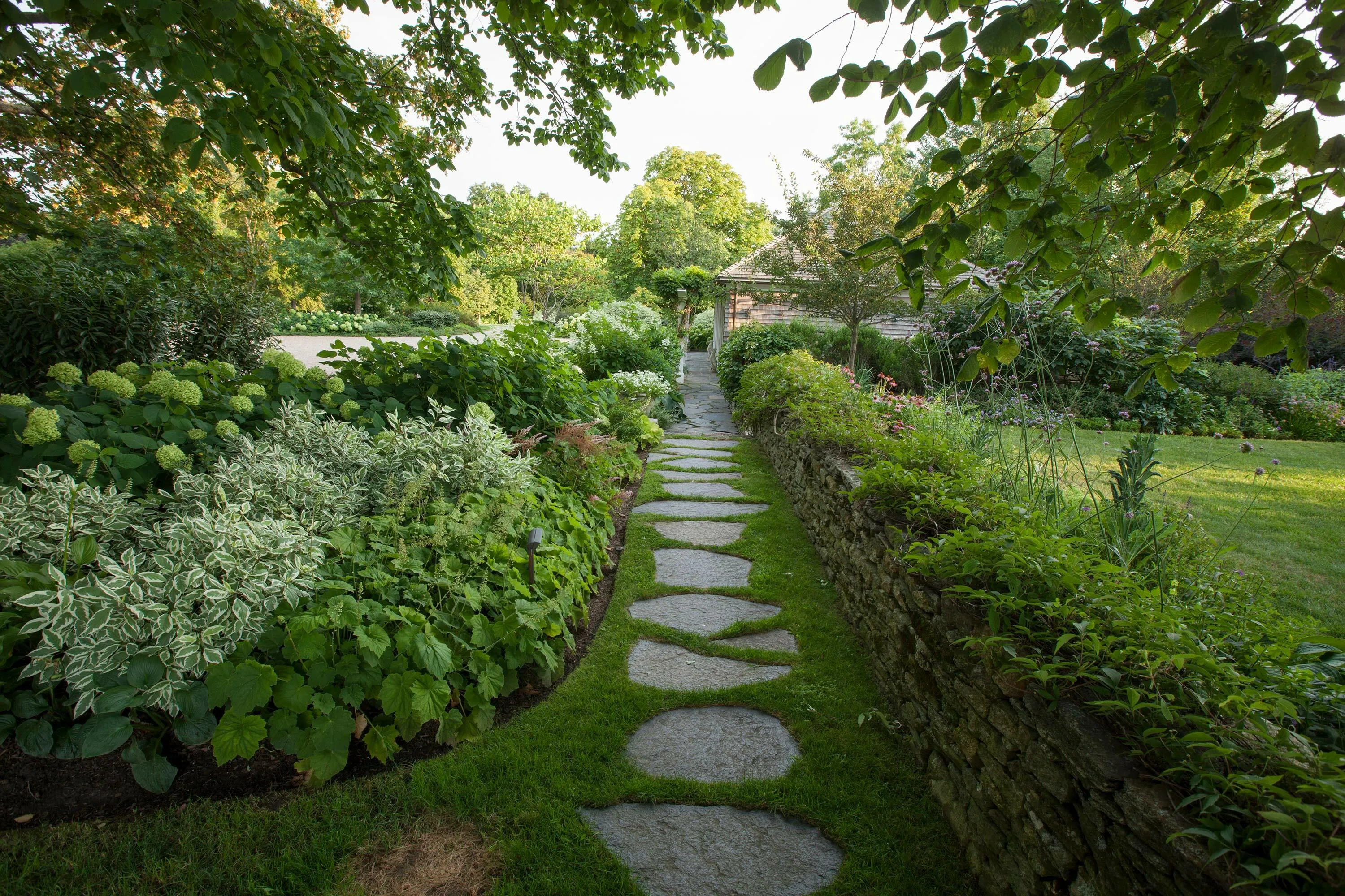 4 narrowpath green vanbeuren hoerrschaudt