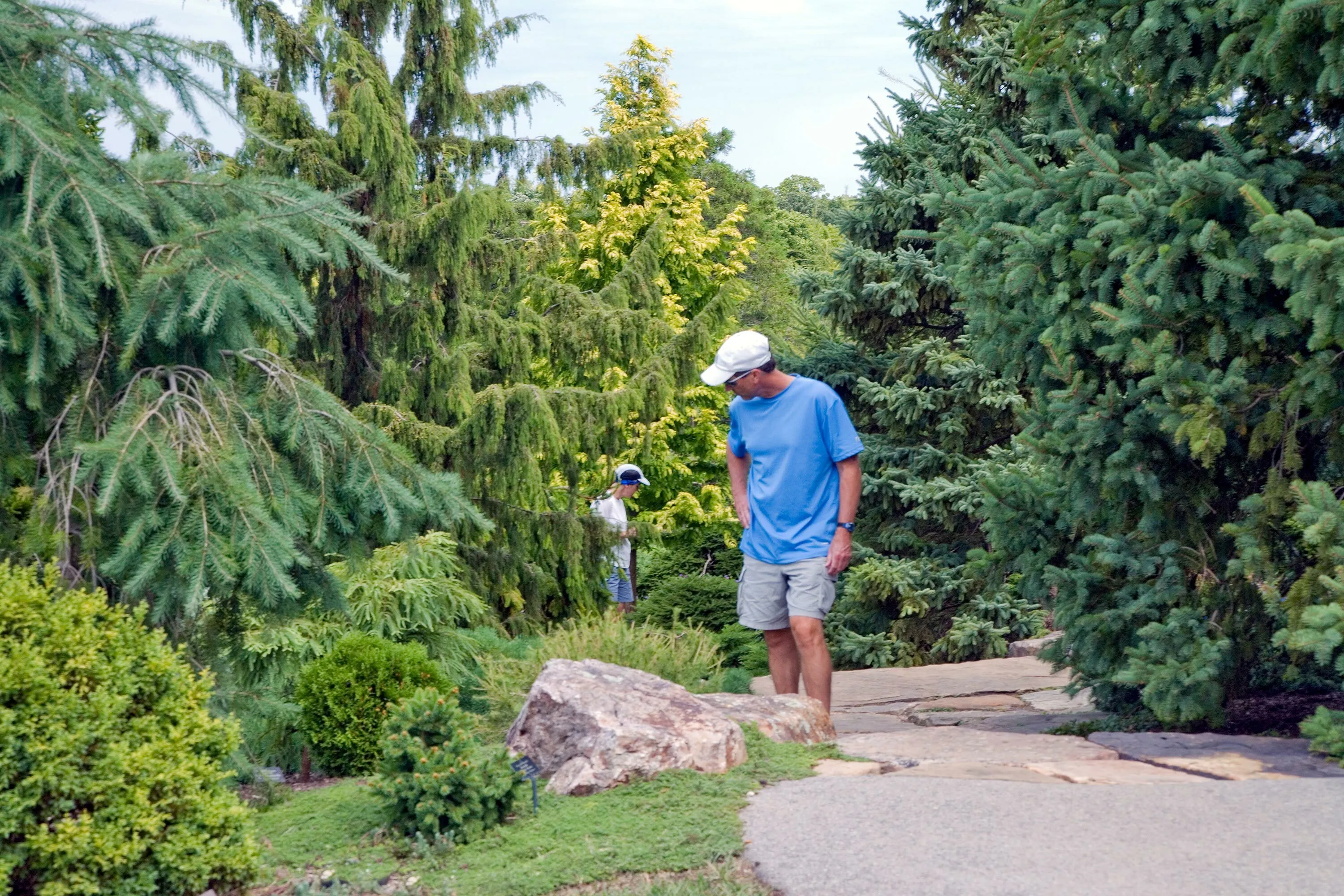 4 path person walking cbg dwarf conifer garden hoerrschaudt