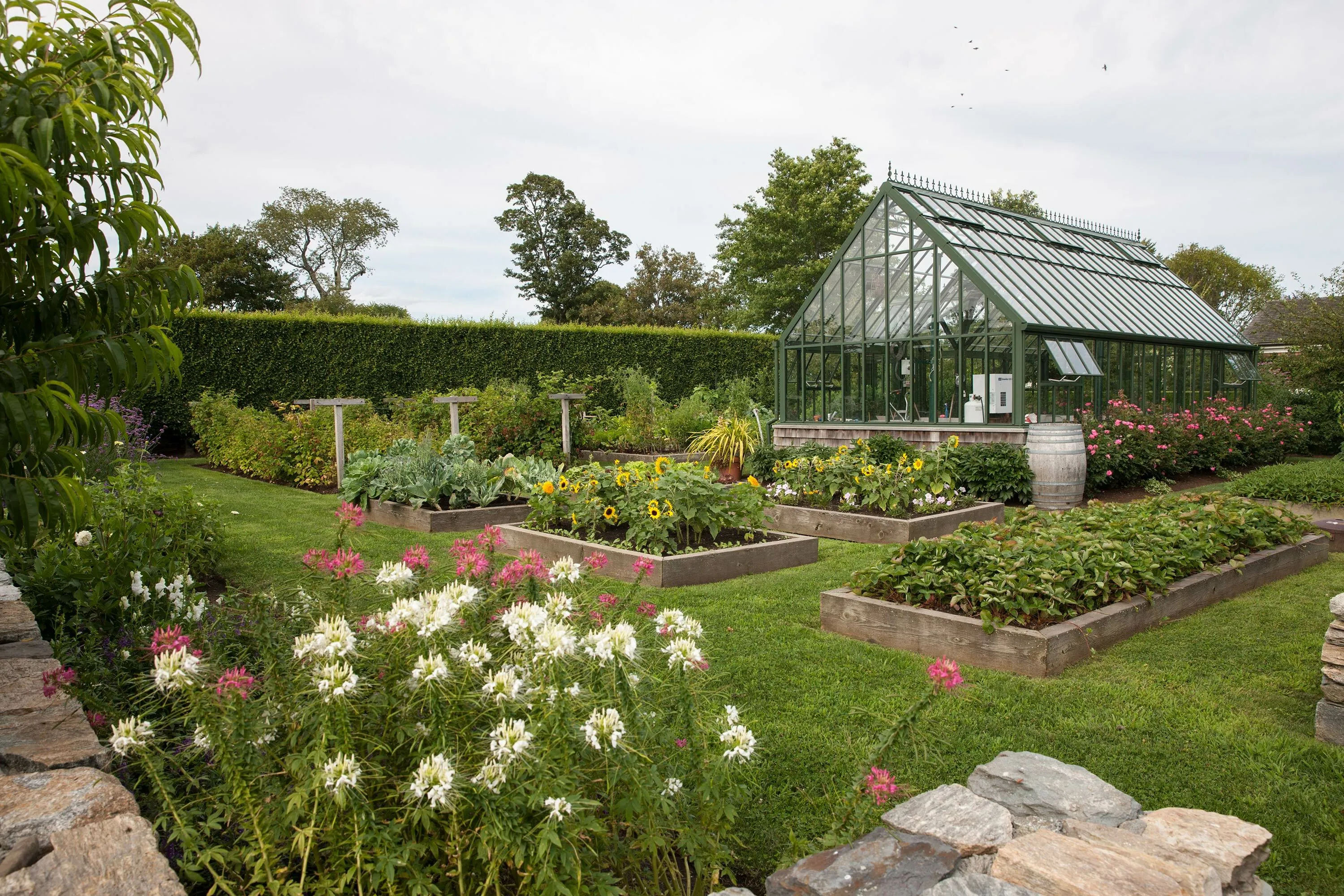 5 greenhouse veggies vanbeuren hoerrschaudt