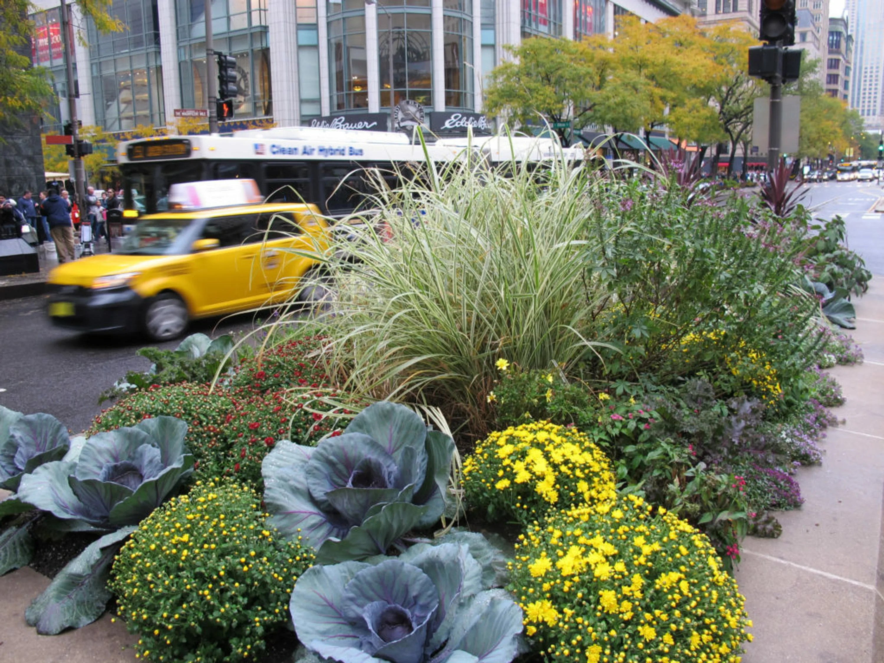 6 michigan avenue streetscape was prestigious asla landmark award hoerrschaudt news