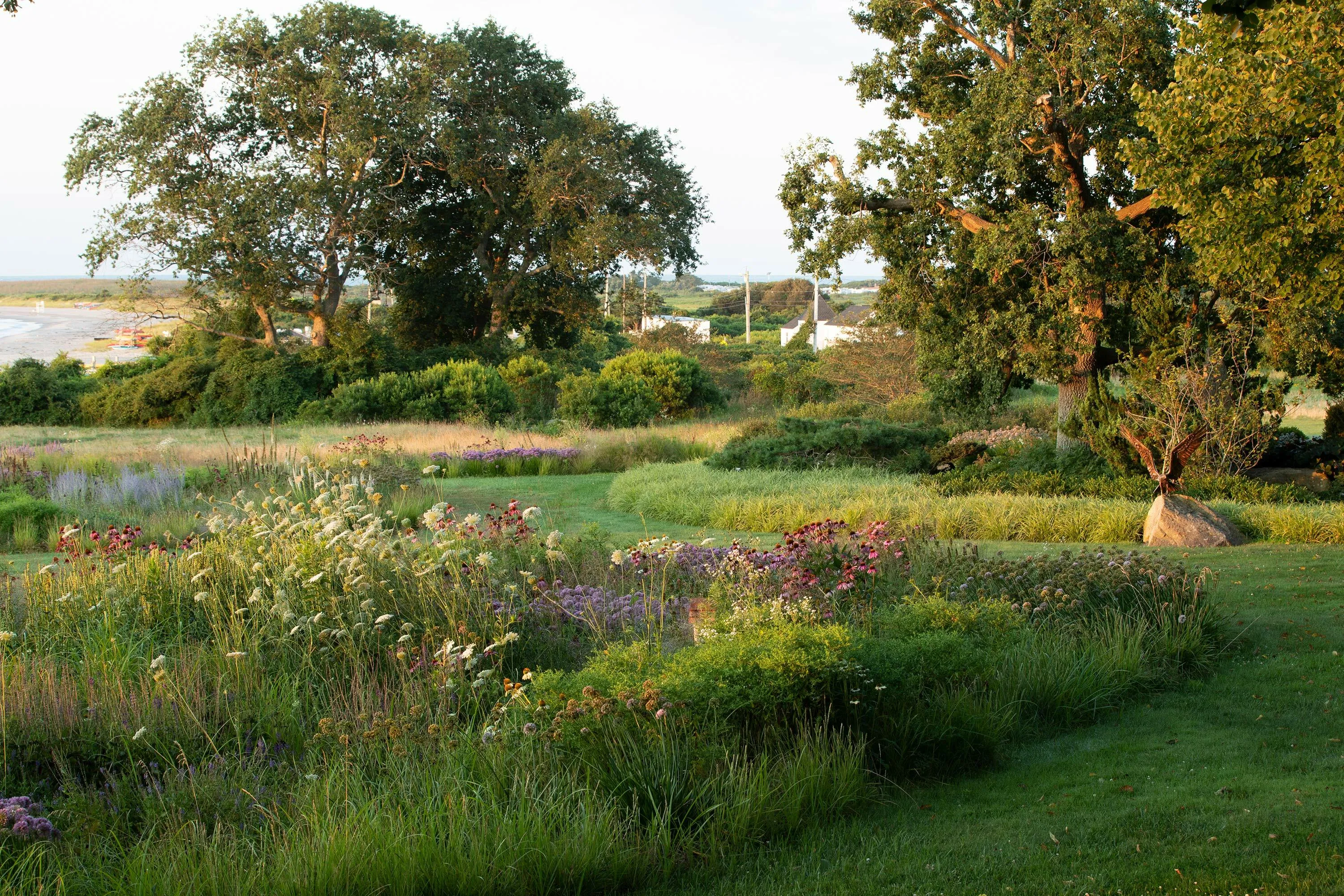 6 goldenhour biodiversity coast happyvanbeuren hoerrschaudt