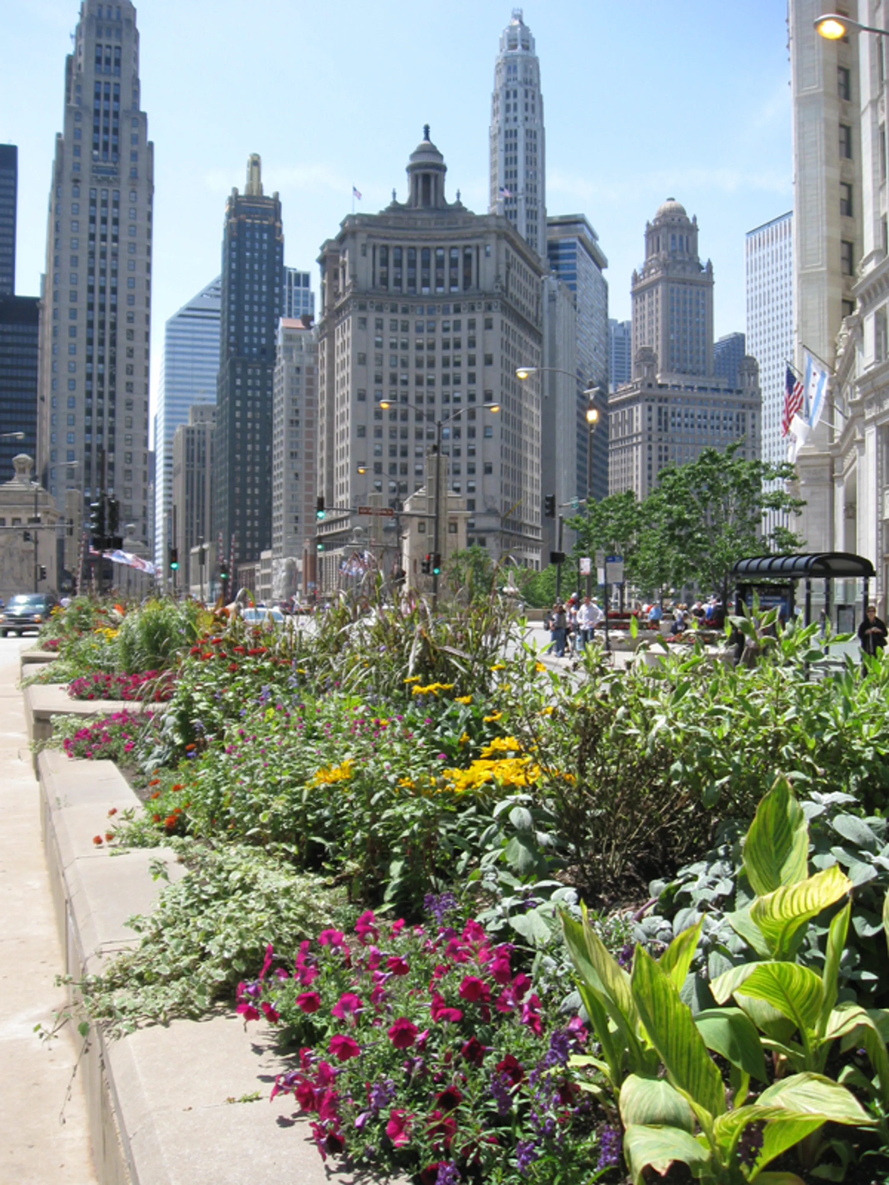 6 finished median skyline michigan avenue the garden in the street blog hoerrschaudt