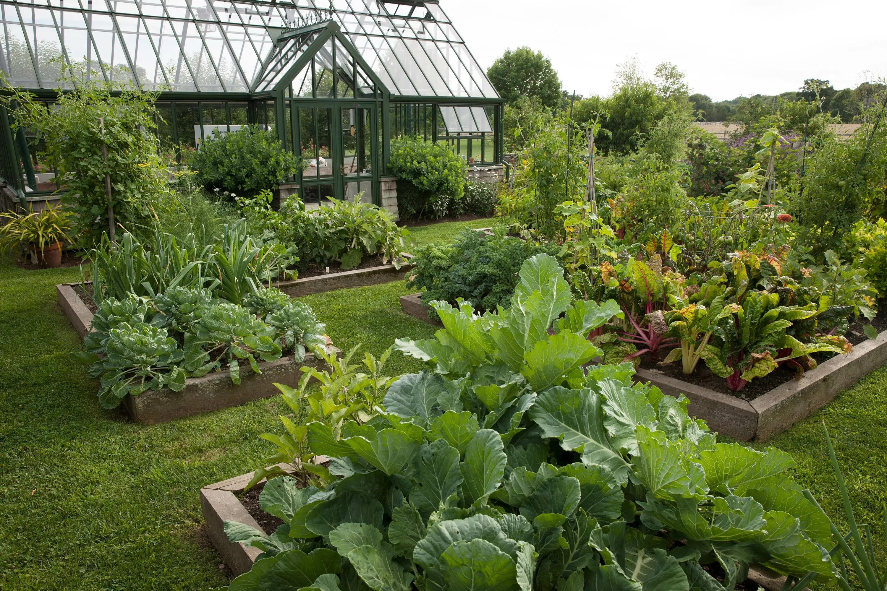 9 veggiegarden vanbeuren hoerrschaudt