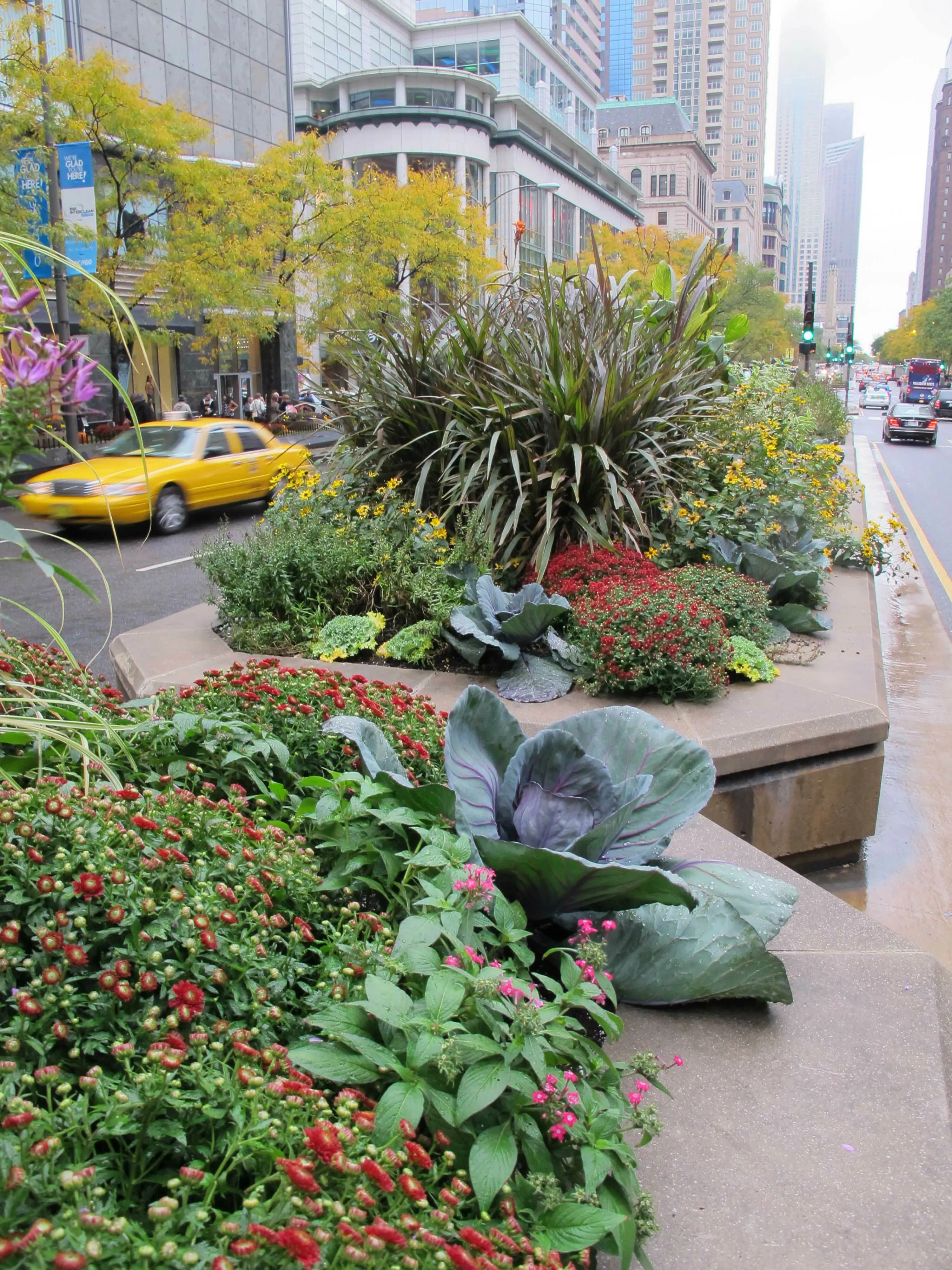 4 A median flowers car michigan ave hoerrschaudt