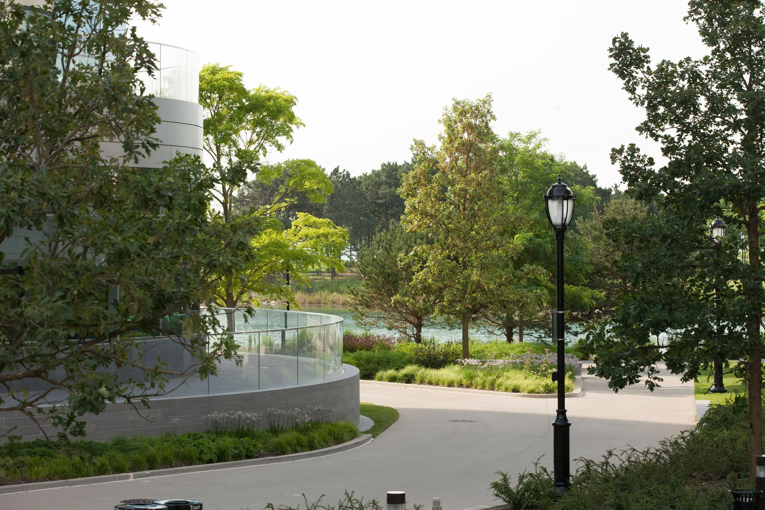 4 path sunshine trees northwestern kellogg hoerrschaudt