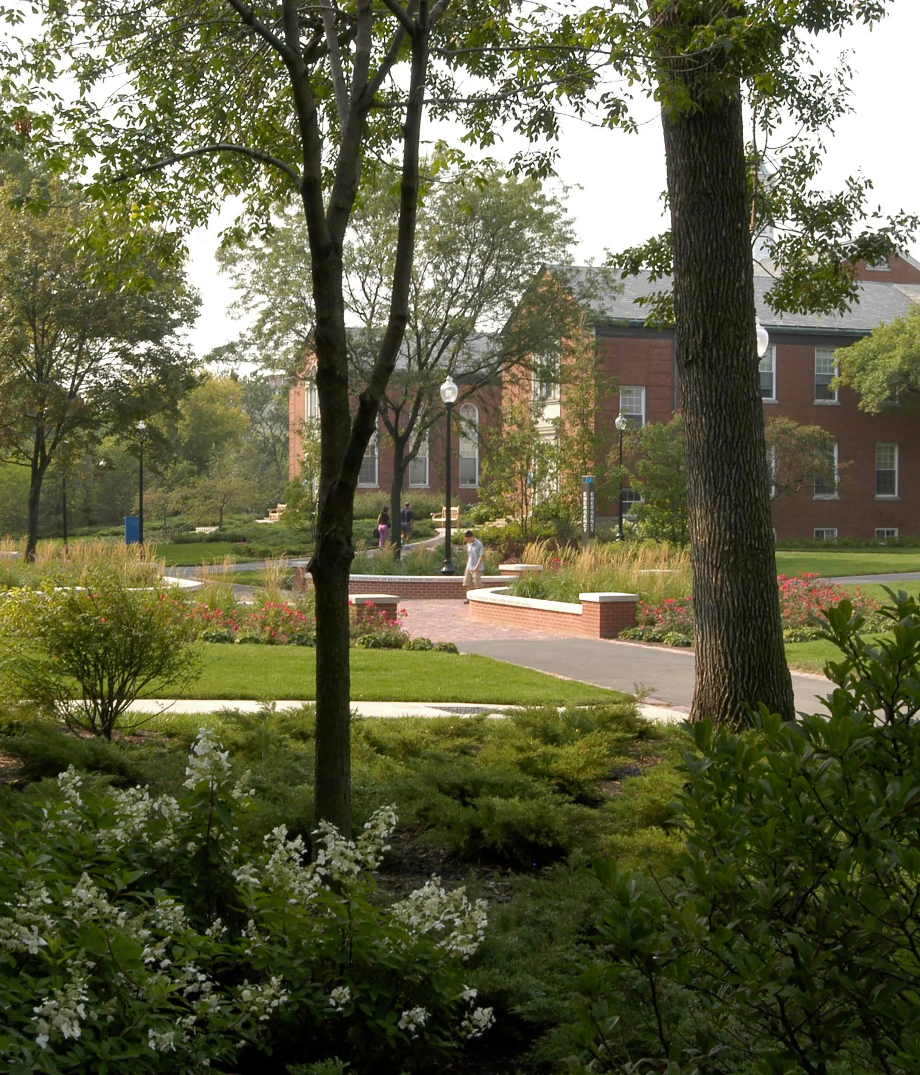 6 B two trees sign person north park university hoerrschaudt