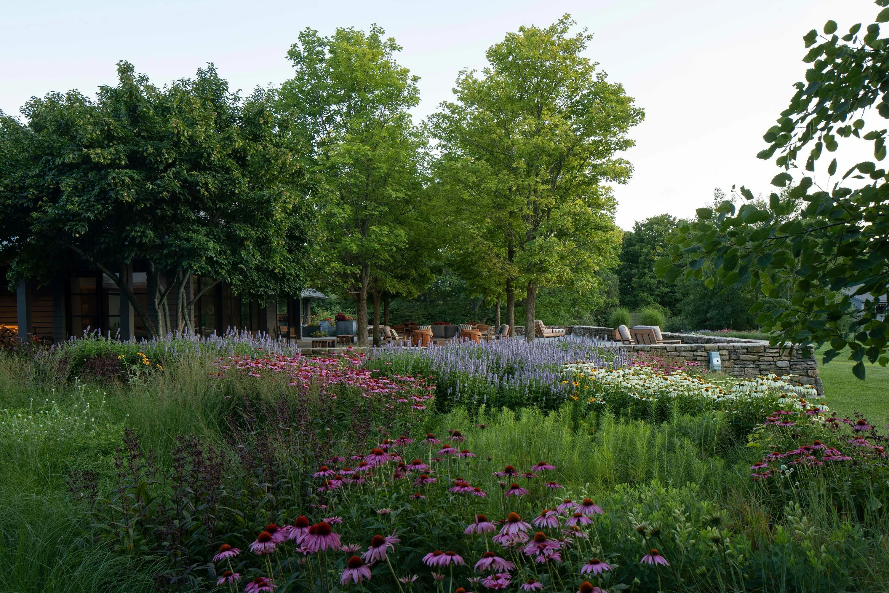 6 flowersgreentrees prairiesummerhome hoerrschaudt