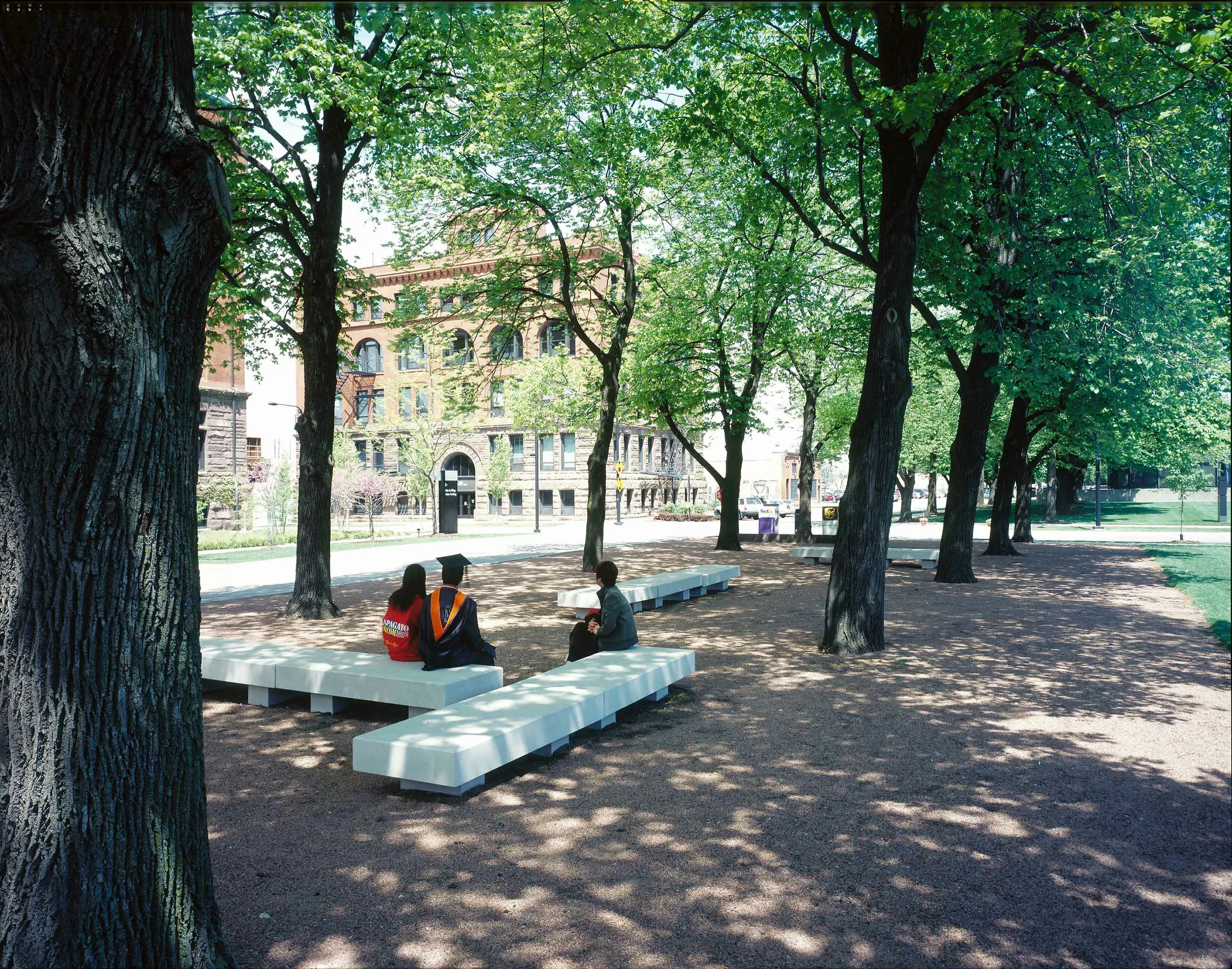 7 A benches tree people IIT hoerrschaudt