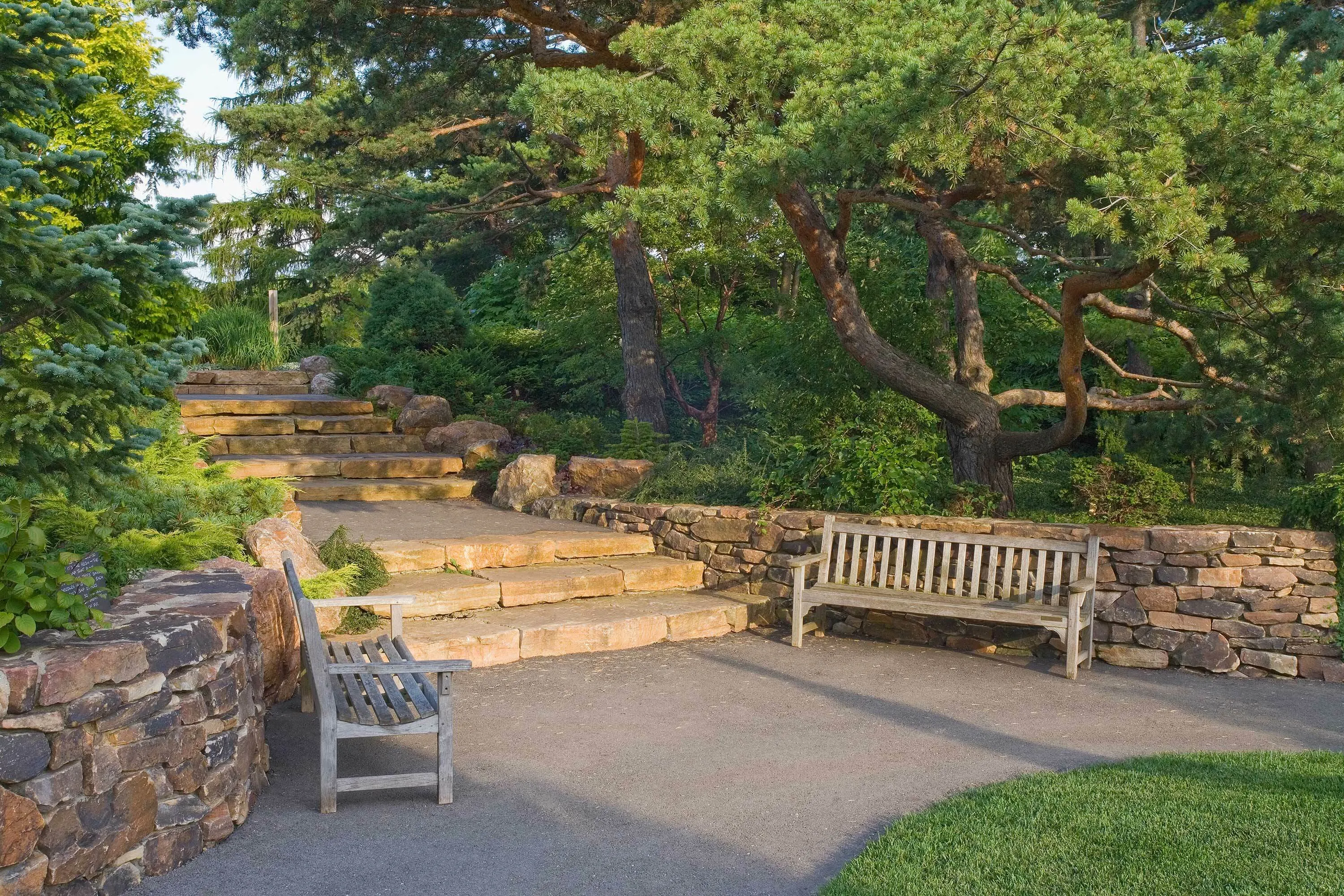 8 eating steps foliage chicago botanic garden dwarf conifer garden hoerrschaudt