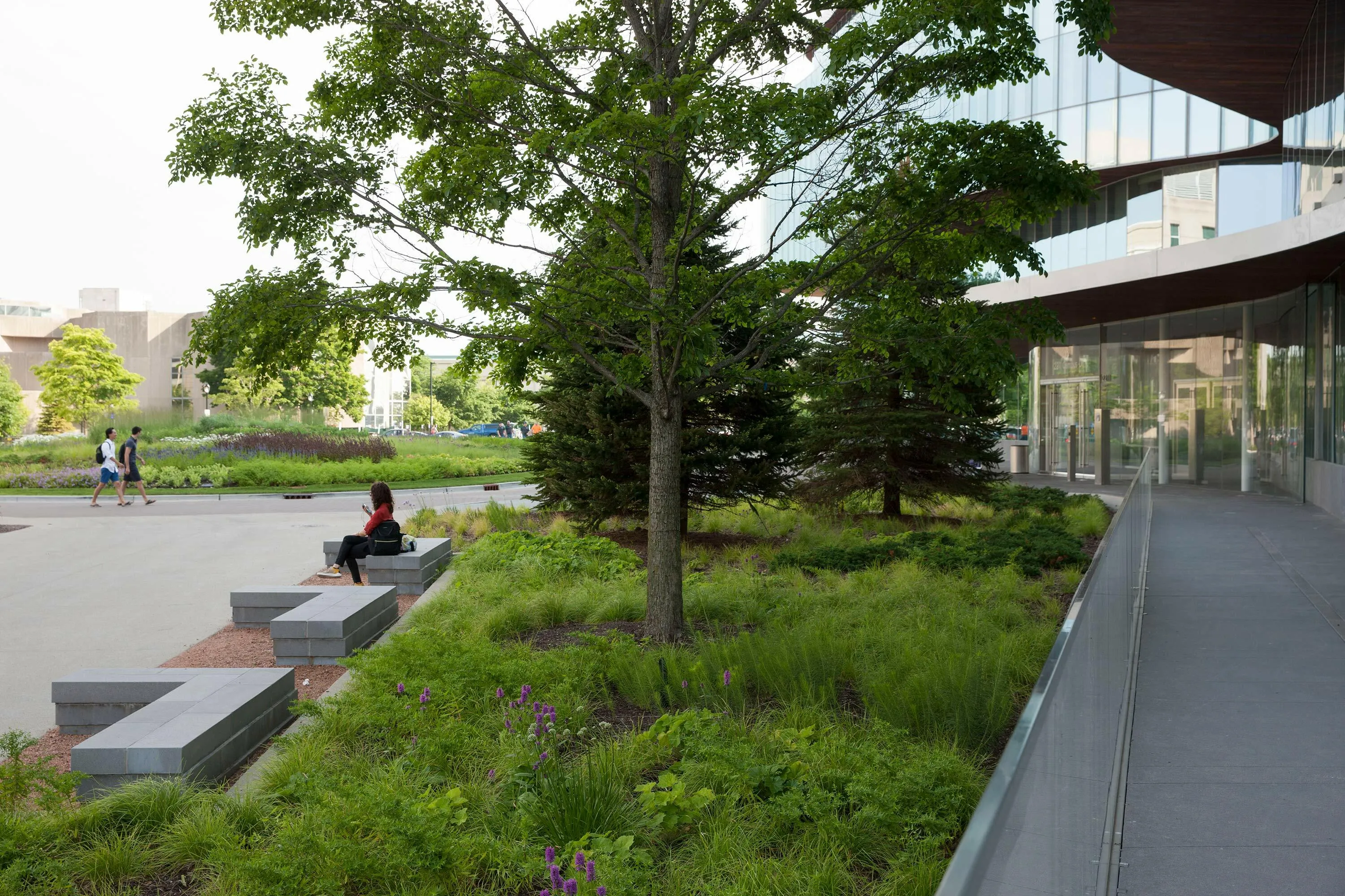 8 tree seating northwestern kellogg hoerrschaudt