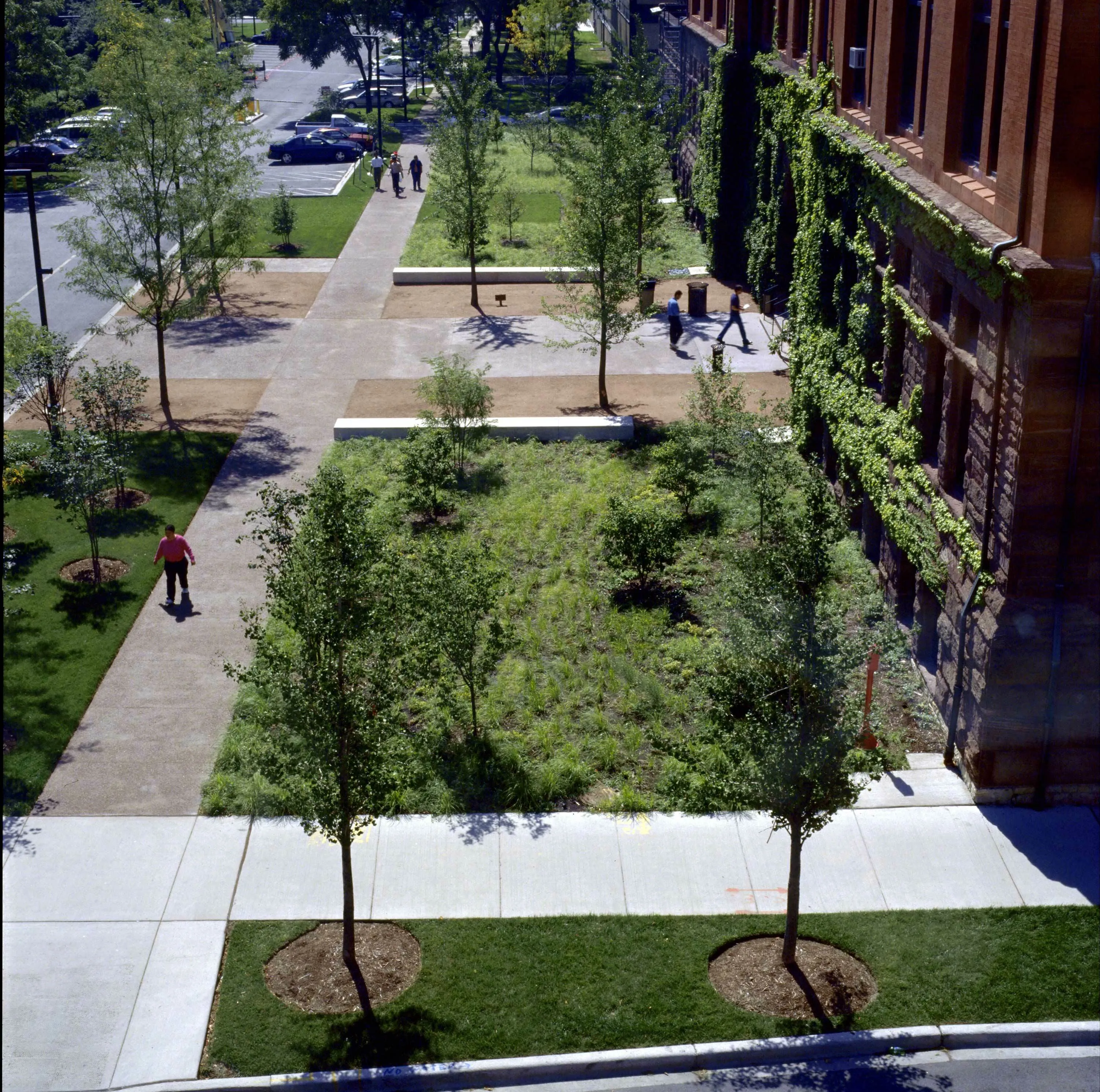 9 drone trees walkway IIT hoerrschaudt