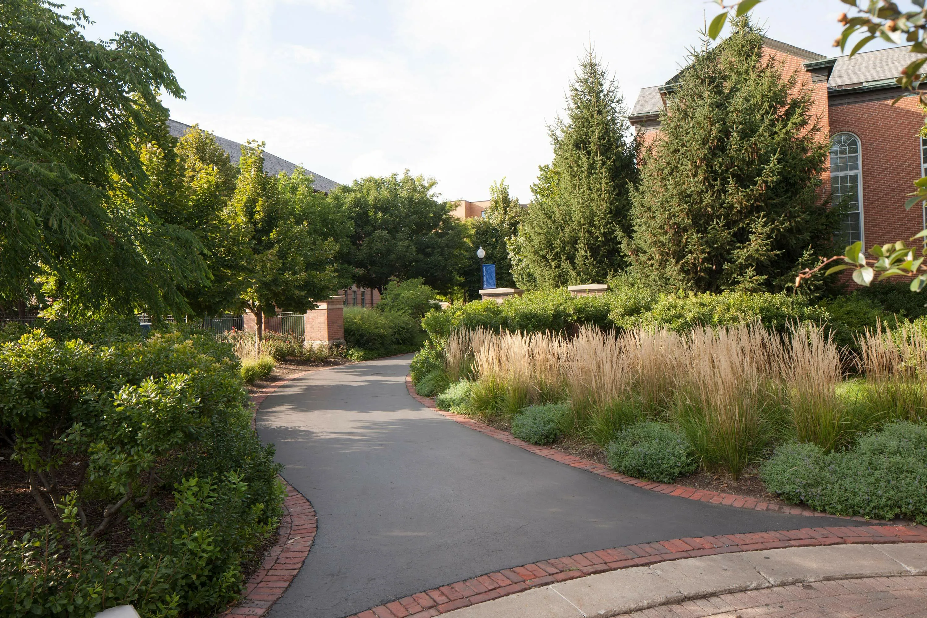 13 B driveway green shrubs north park university hoerrschaudt