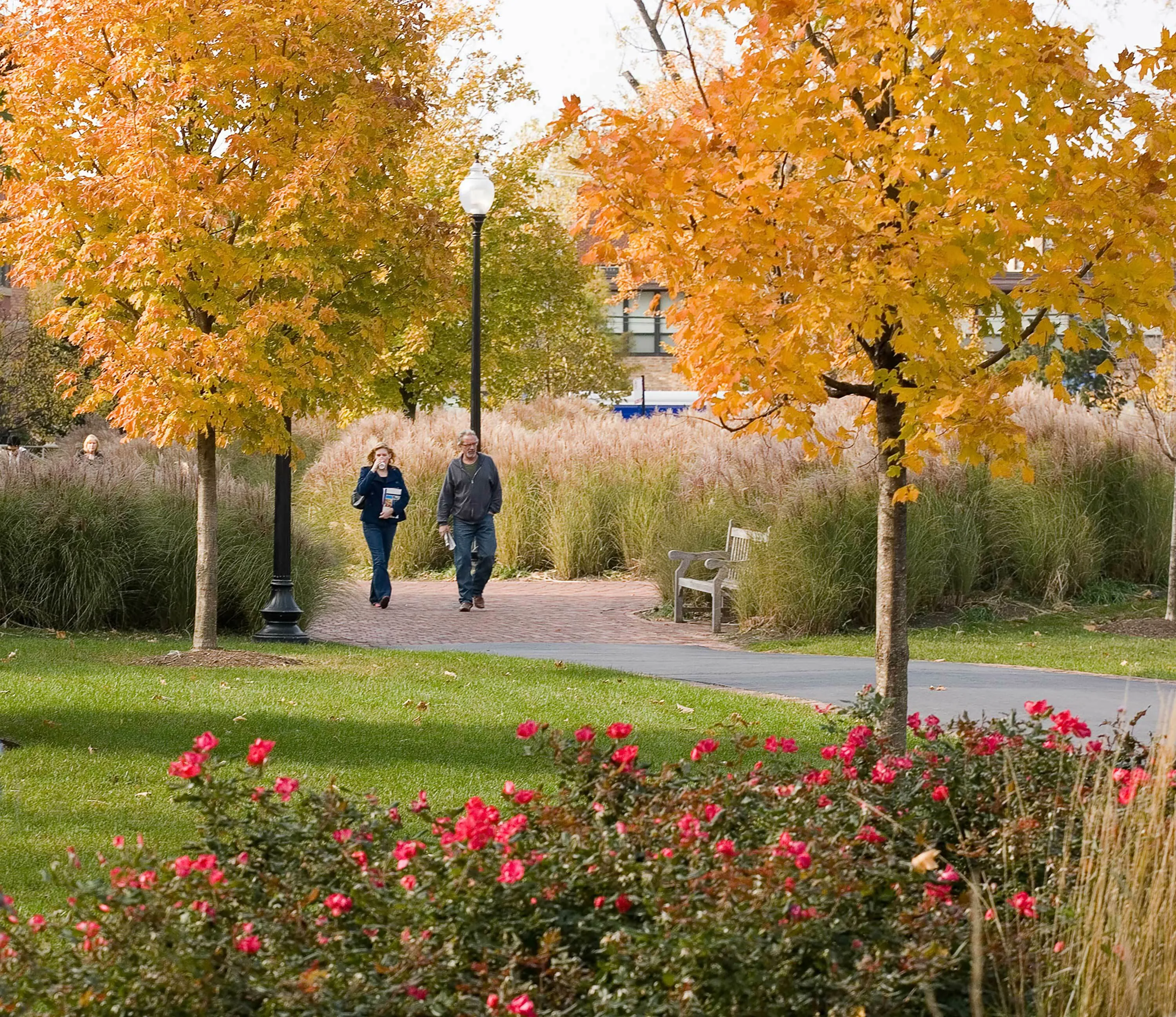 10 A orange fall trees north park university hoerrschaudt