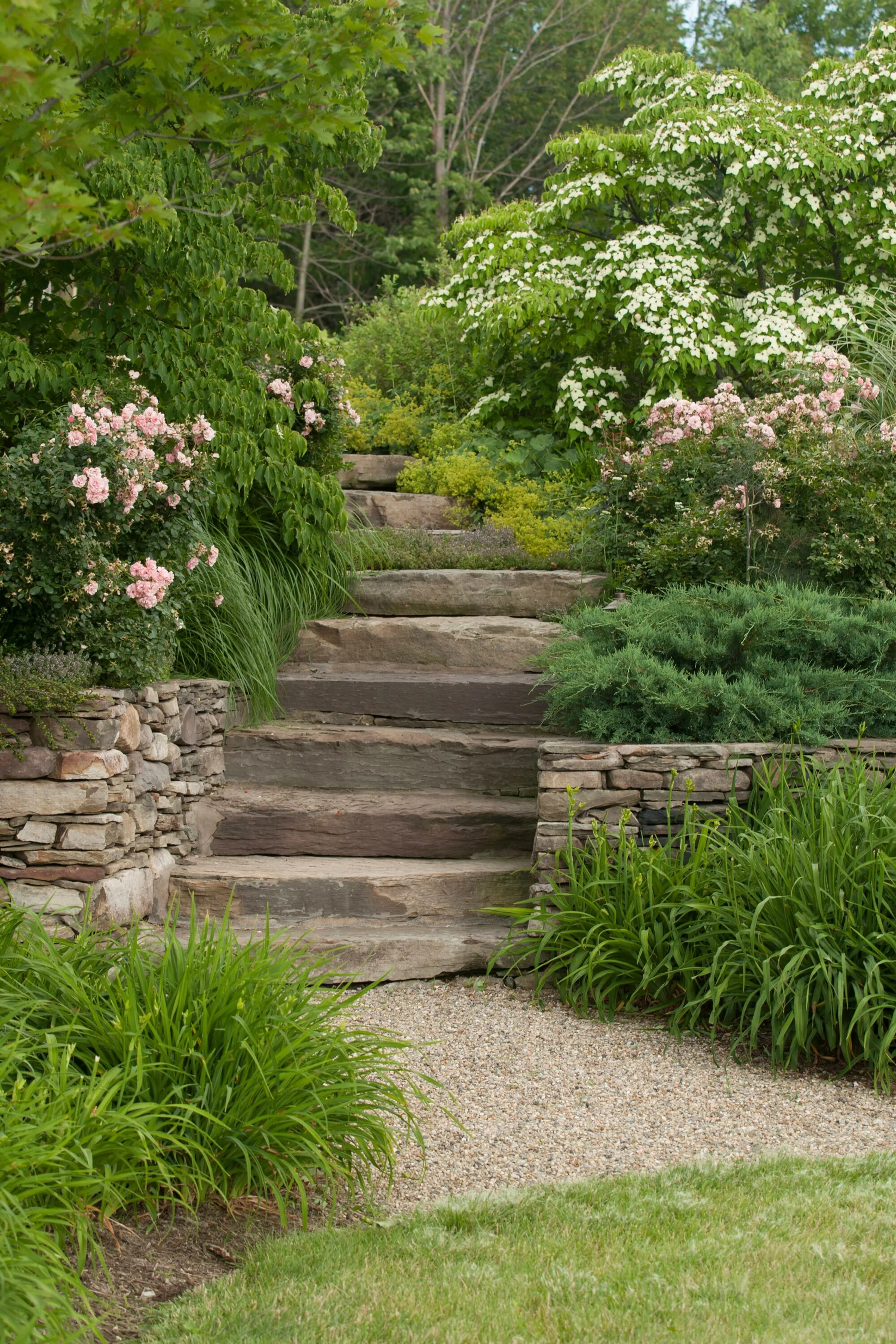 2 A stonesteps flowers parr hoerrschaudt