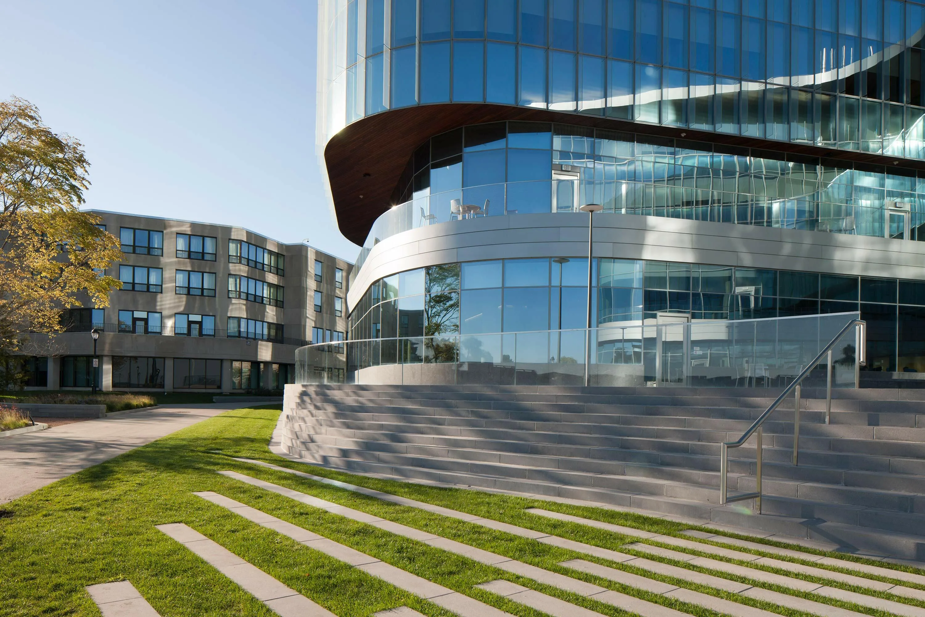 2 grass pathway reflections northwestern kellogg hoerrschaudt