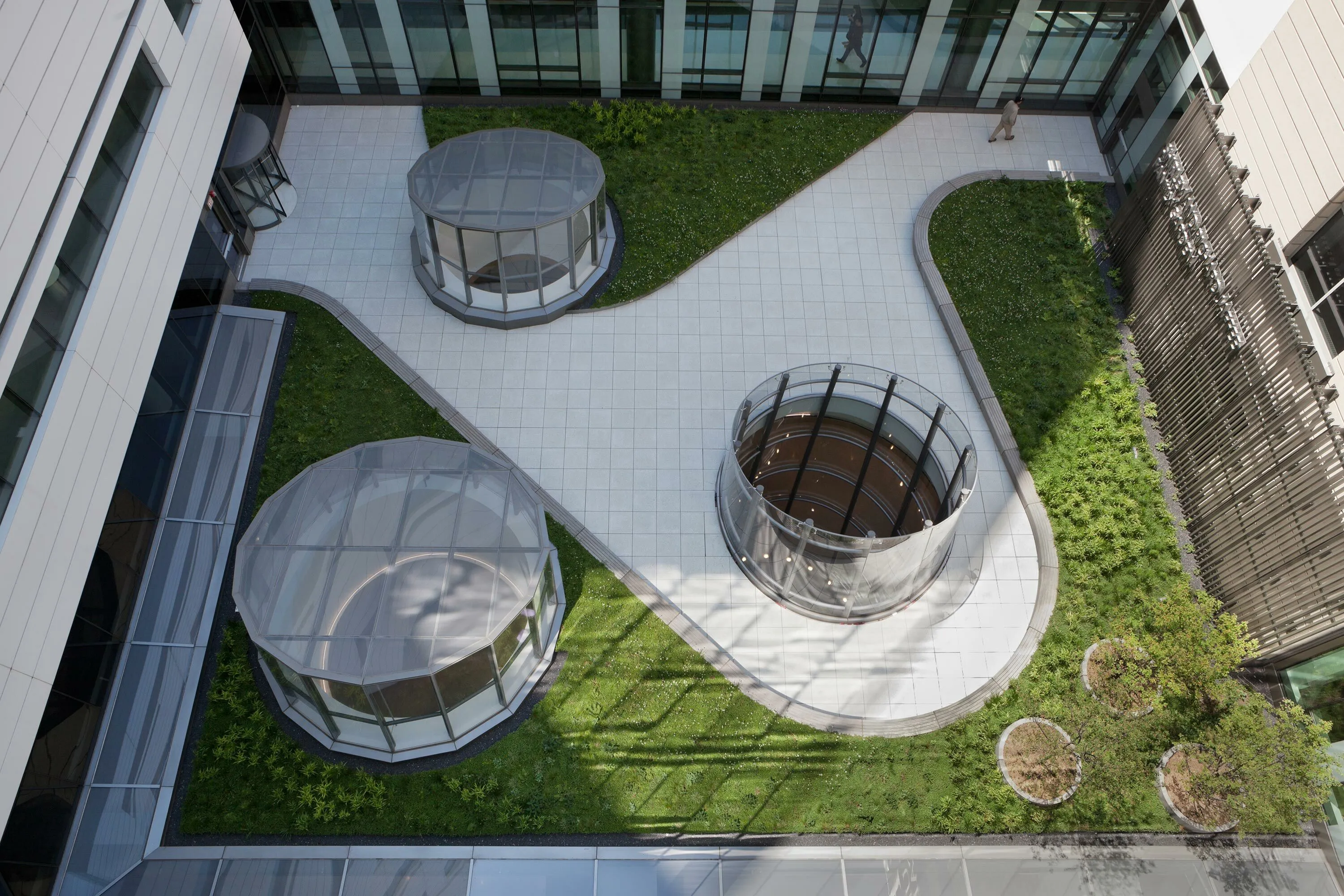 2 rooftop grass skylight rush hospital hoerrschaudt