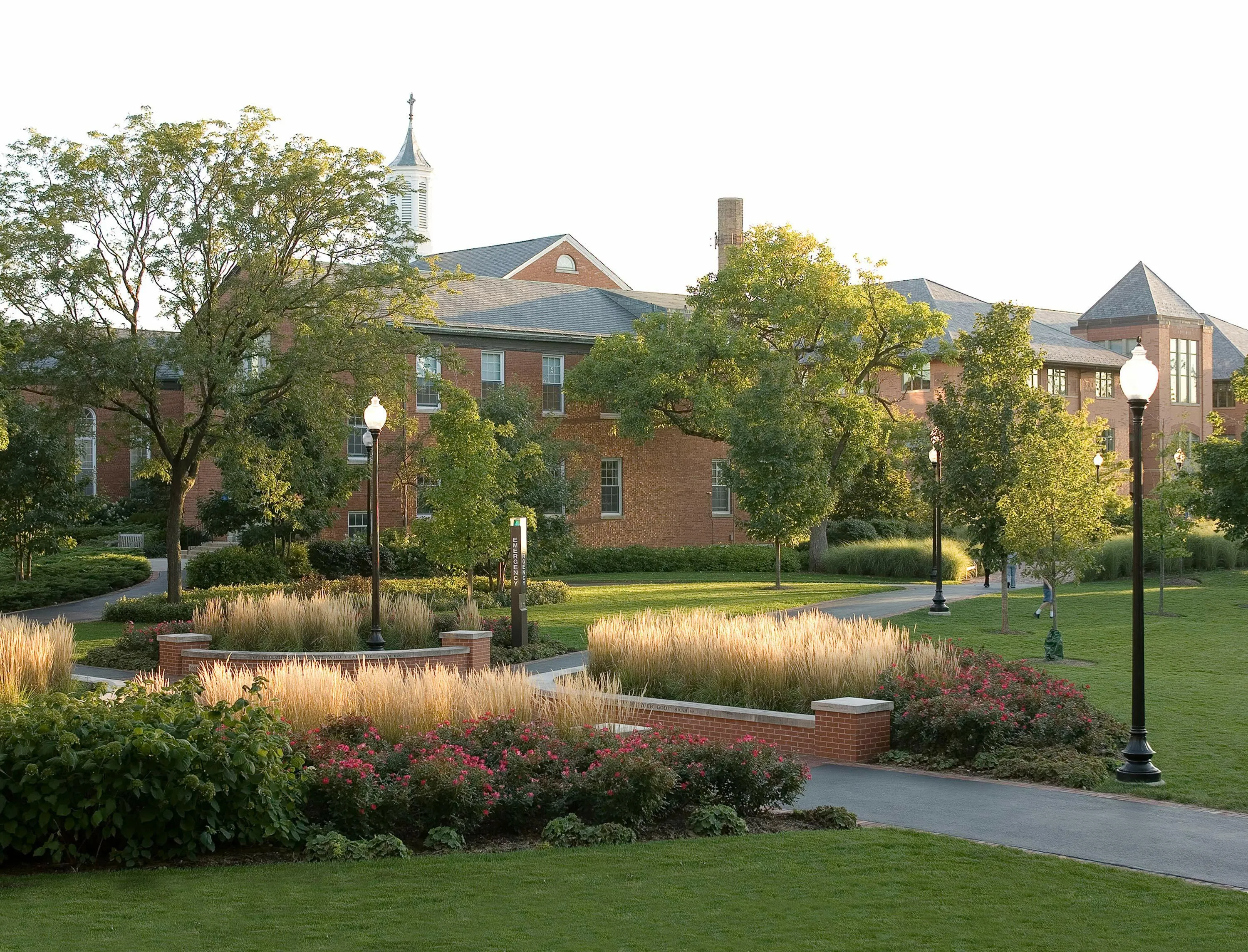 2 school path grass north park university hoerrschaudt