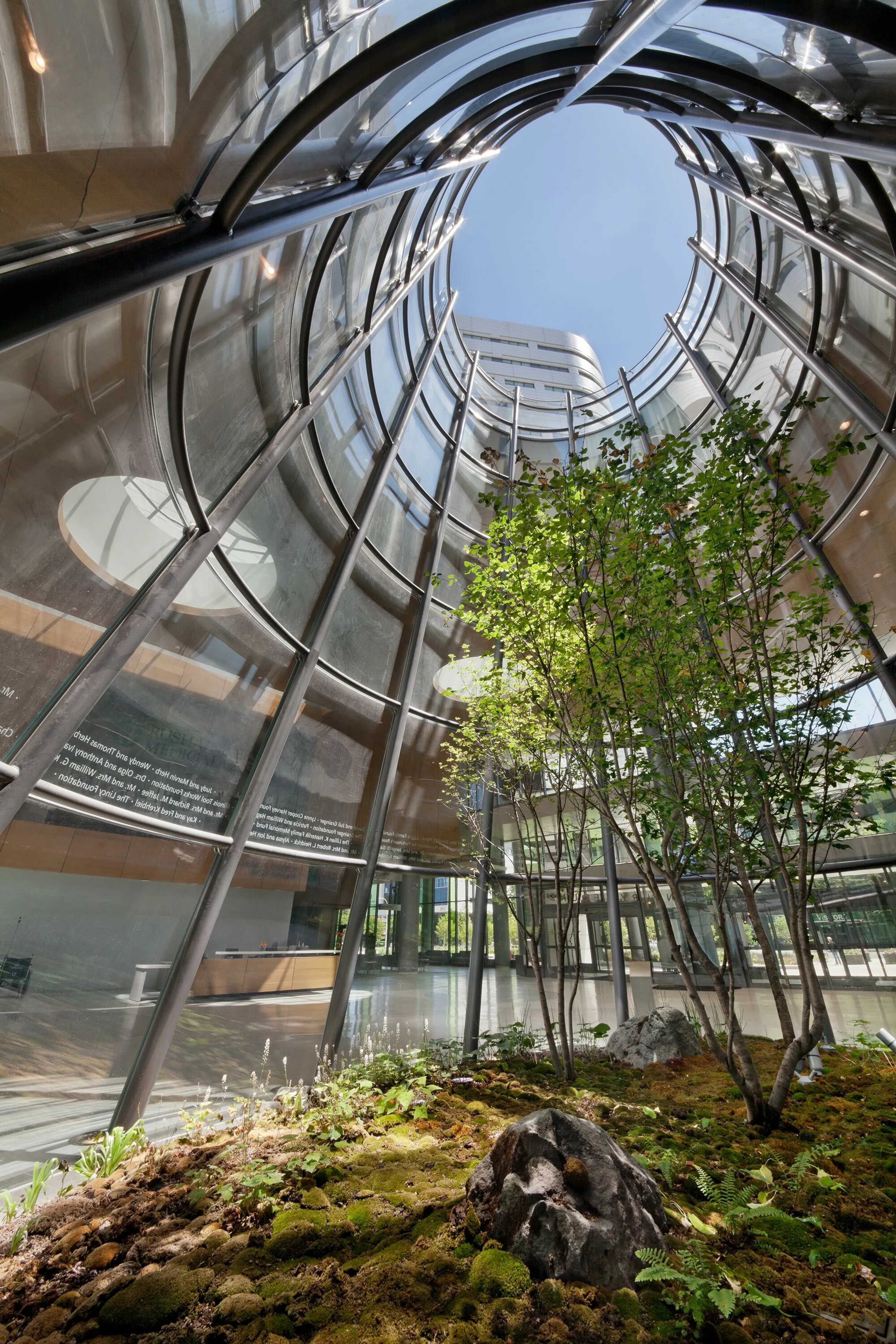 3 A terrarium inside rush hospital hoerrschaudt