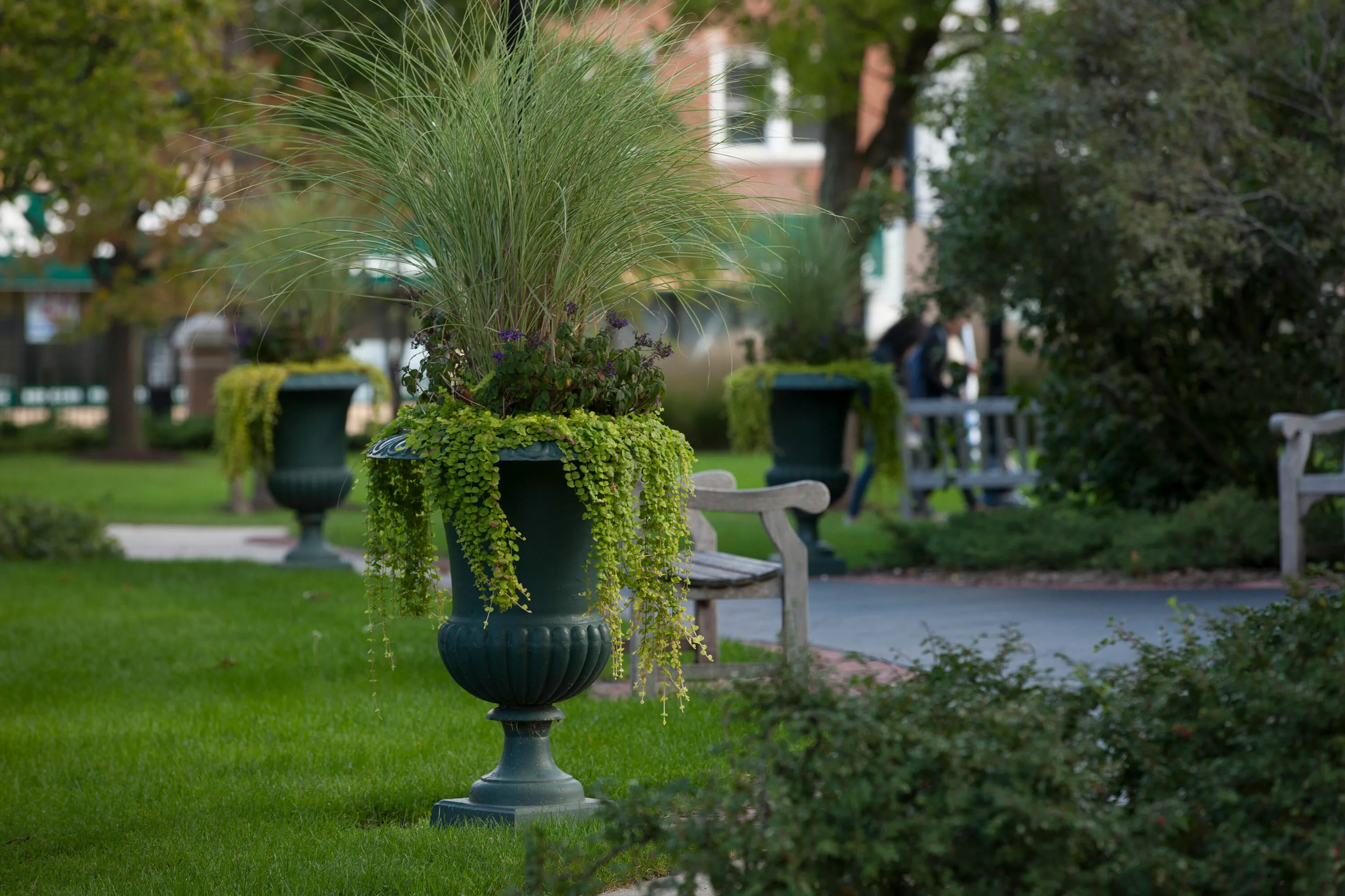 3 A vase tall grass north park university hoerrschaudt