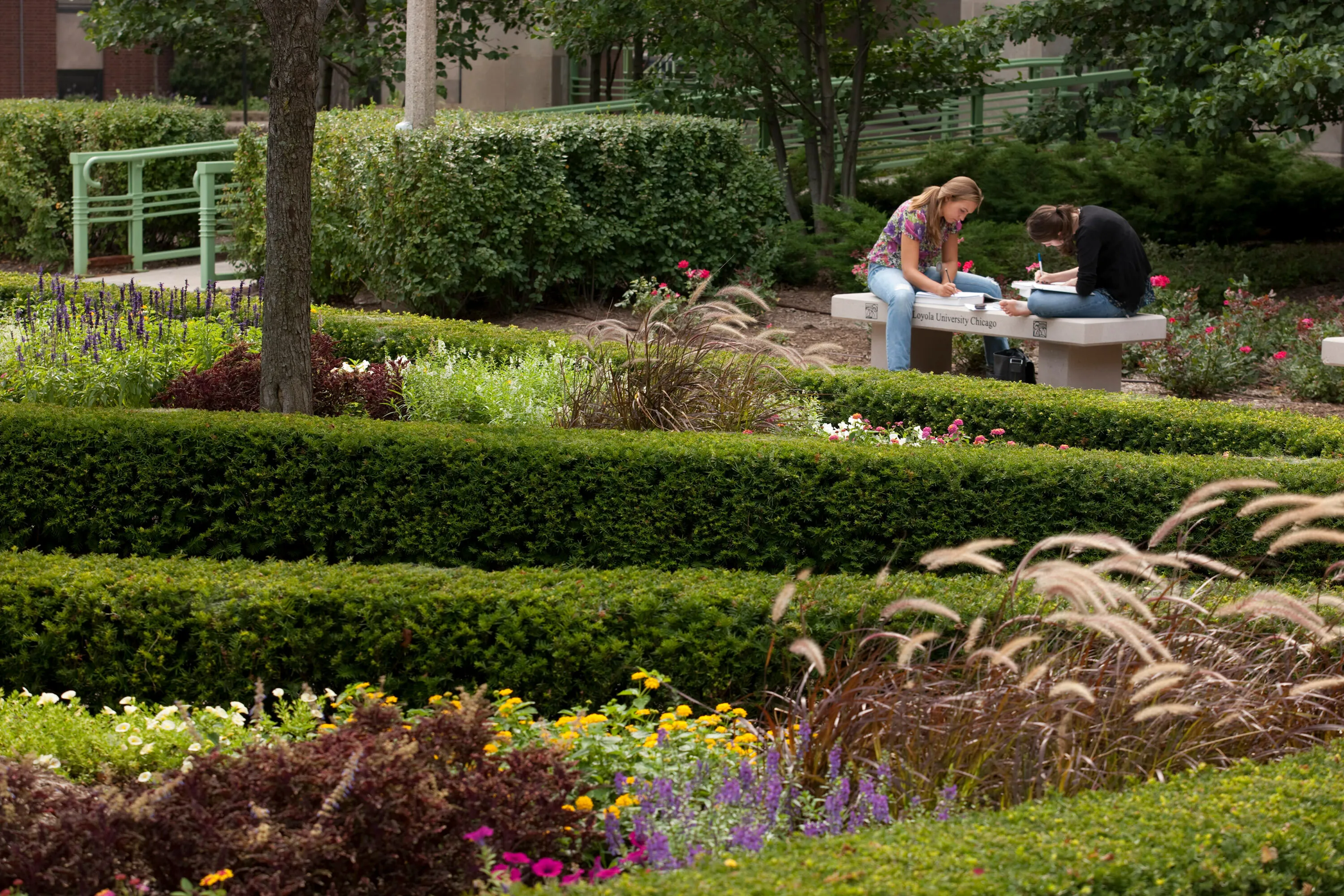 3 B hedges people table loyola university hoerrschaudt