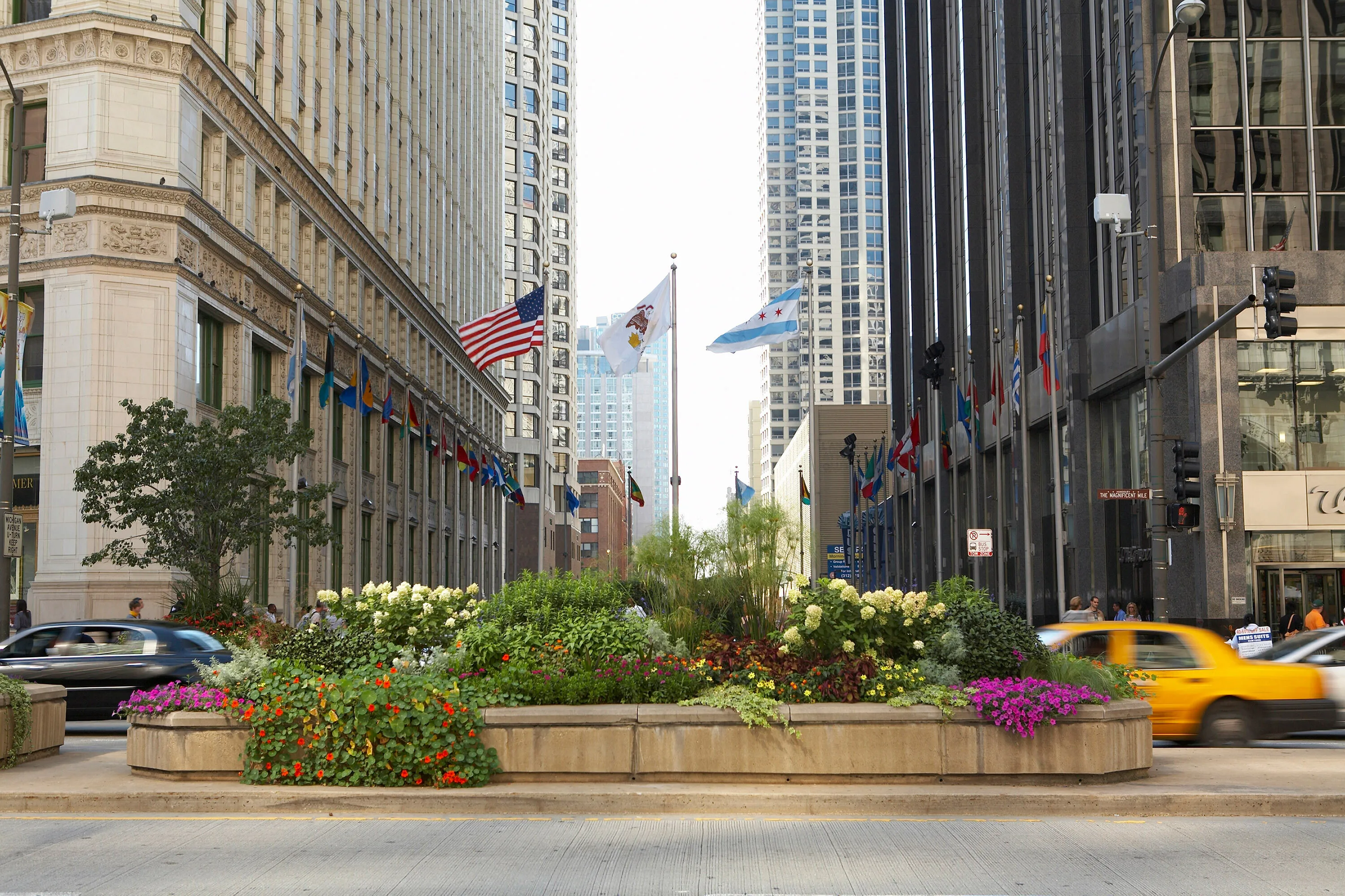 3 flags flowers cars michigan ave hoerrschaudt