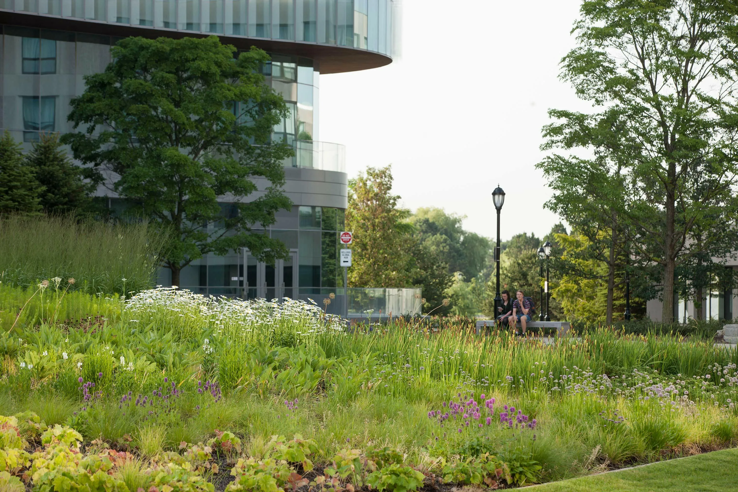 3 plants flowers building northwestern kellogg hoerrschaudt