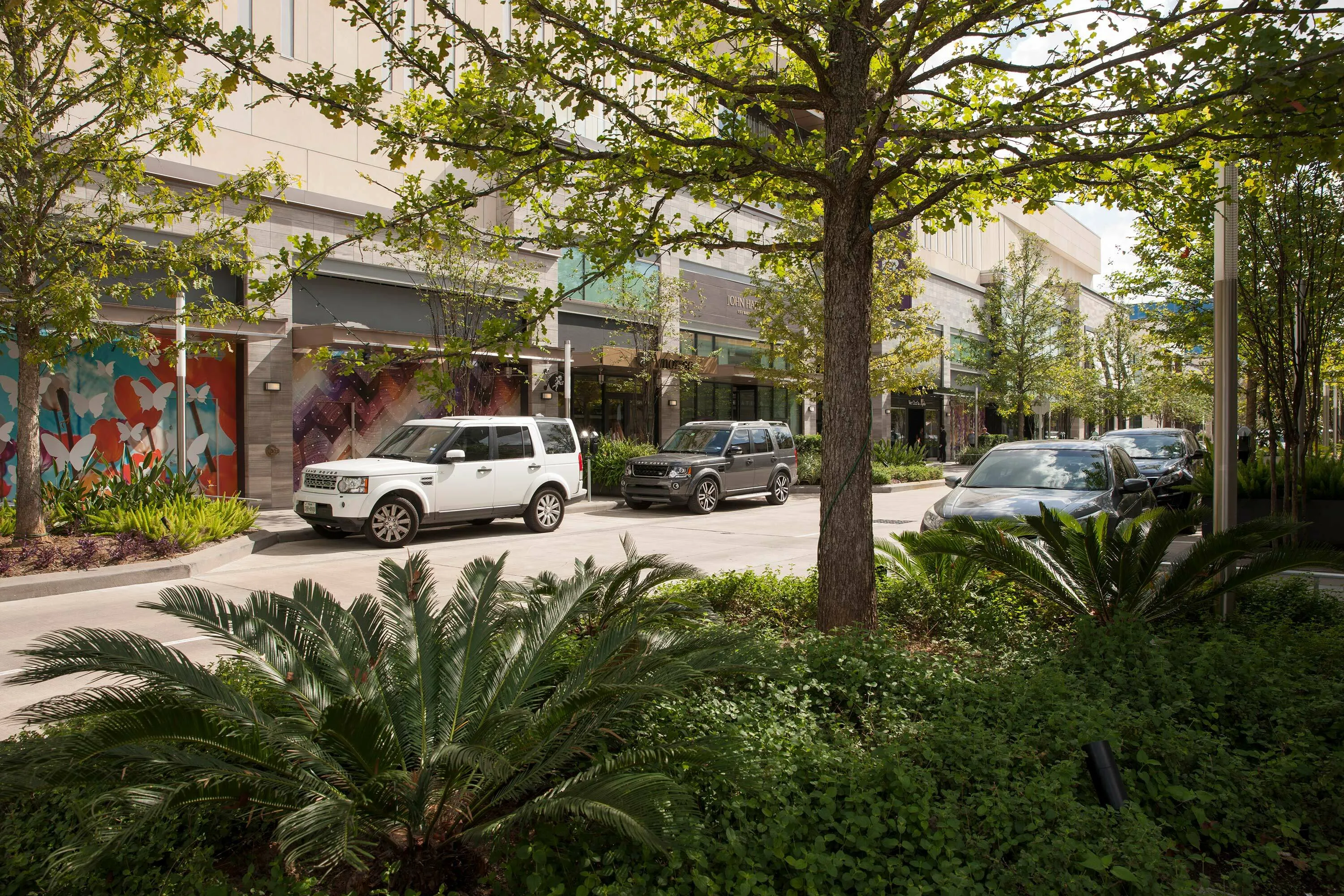 3 shaded trees shopping street river oaks development hoerrschaudt